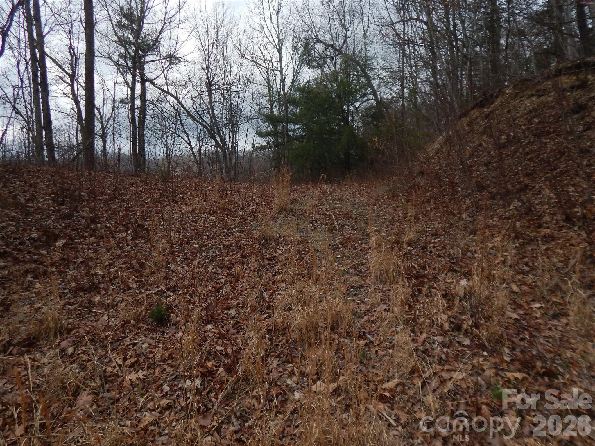 5 Sigogglin Trail
