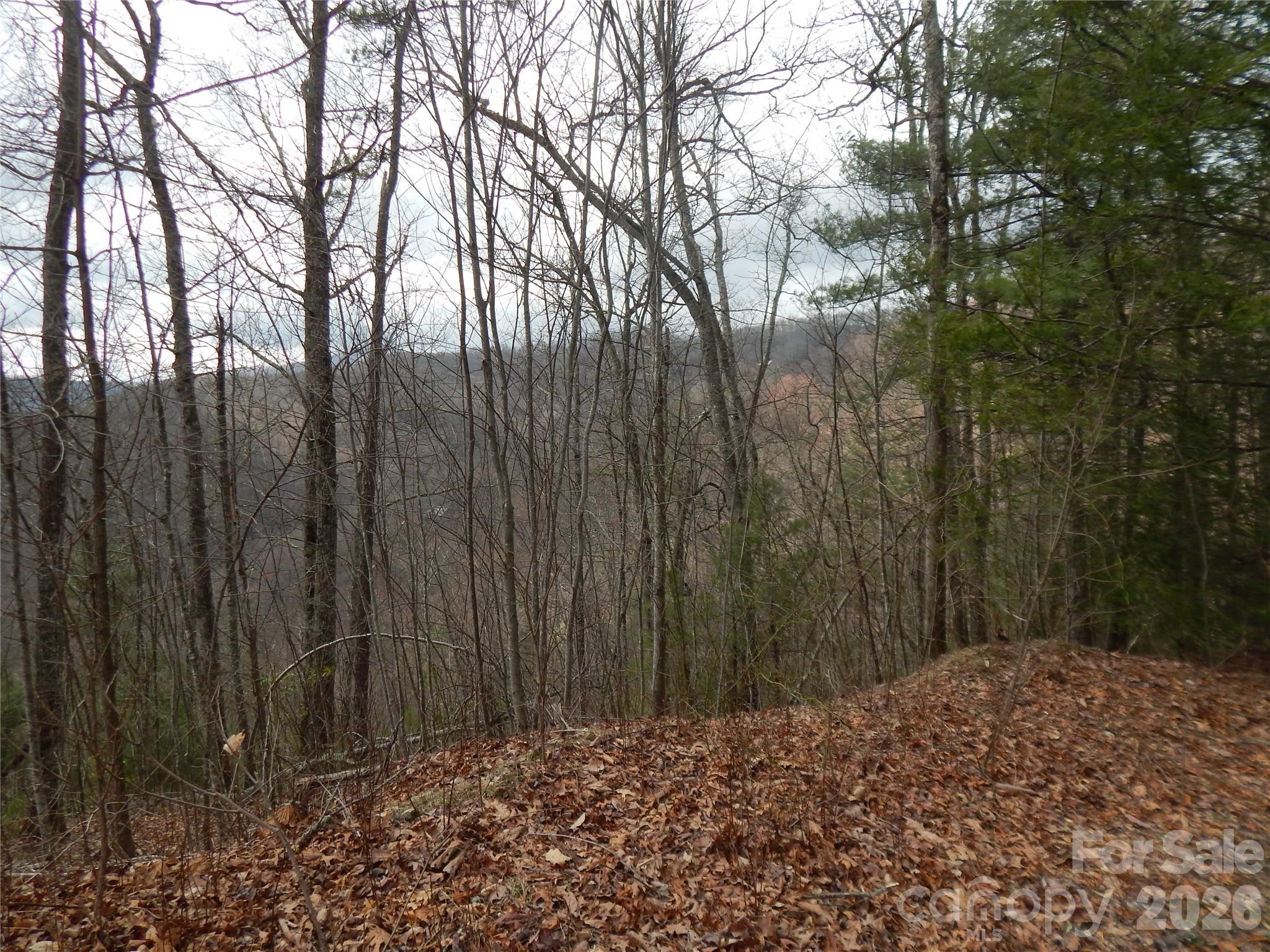 5 Sigogglin Trail