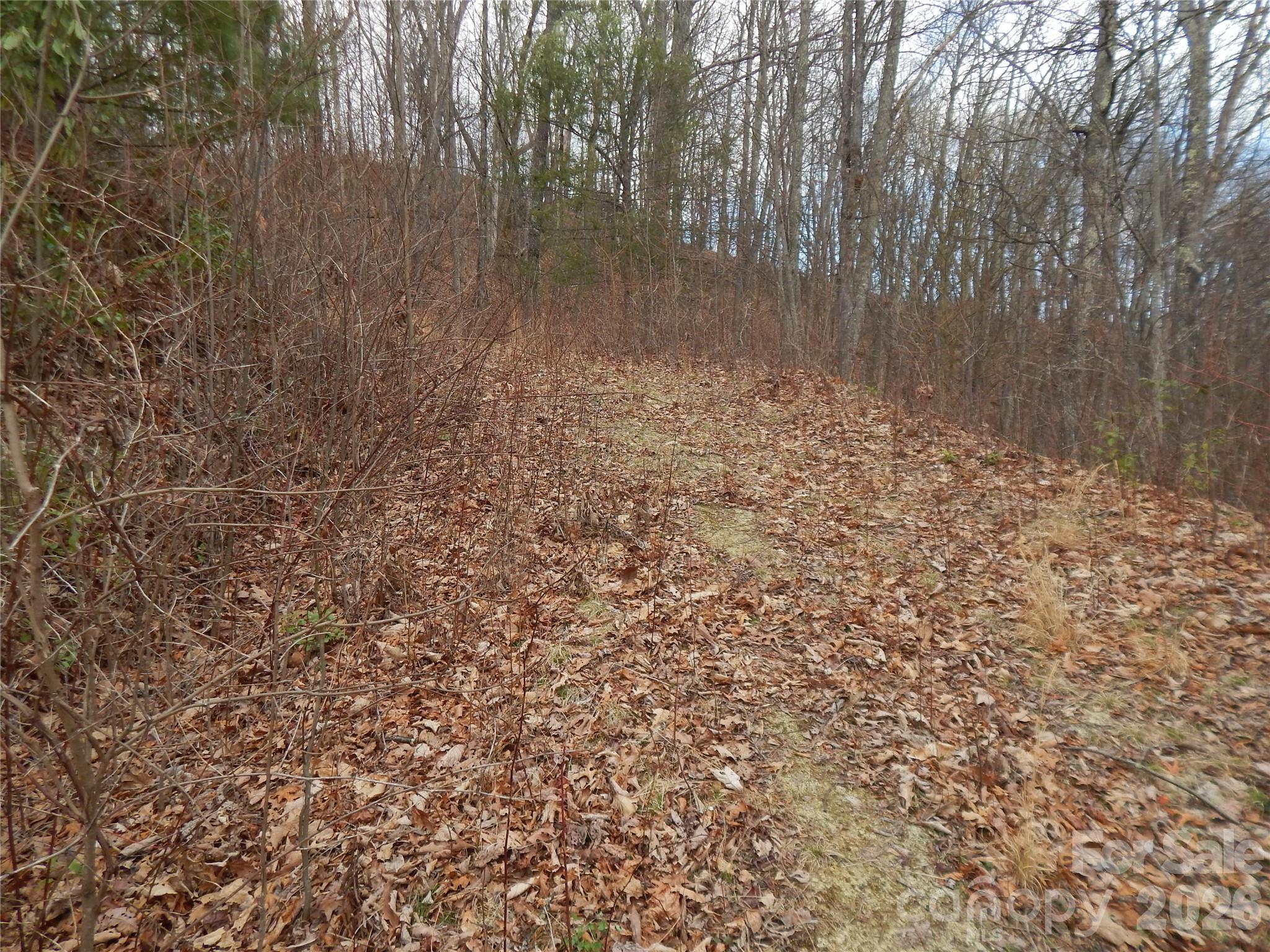 5 Sigogglin Trail