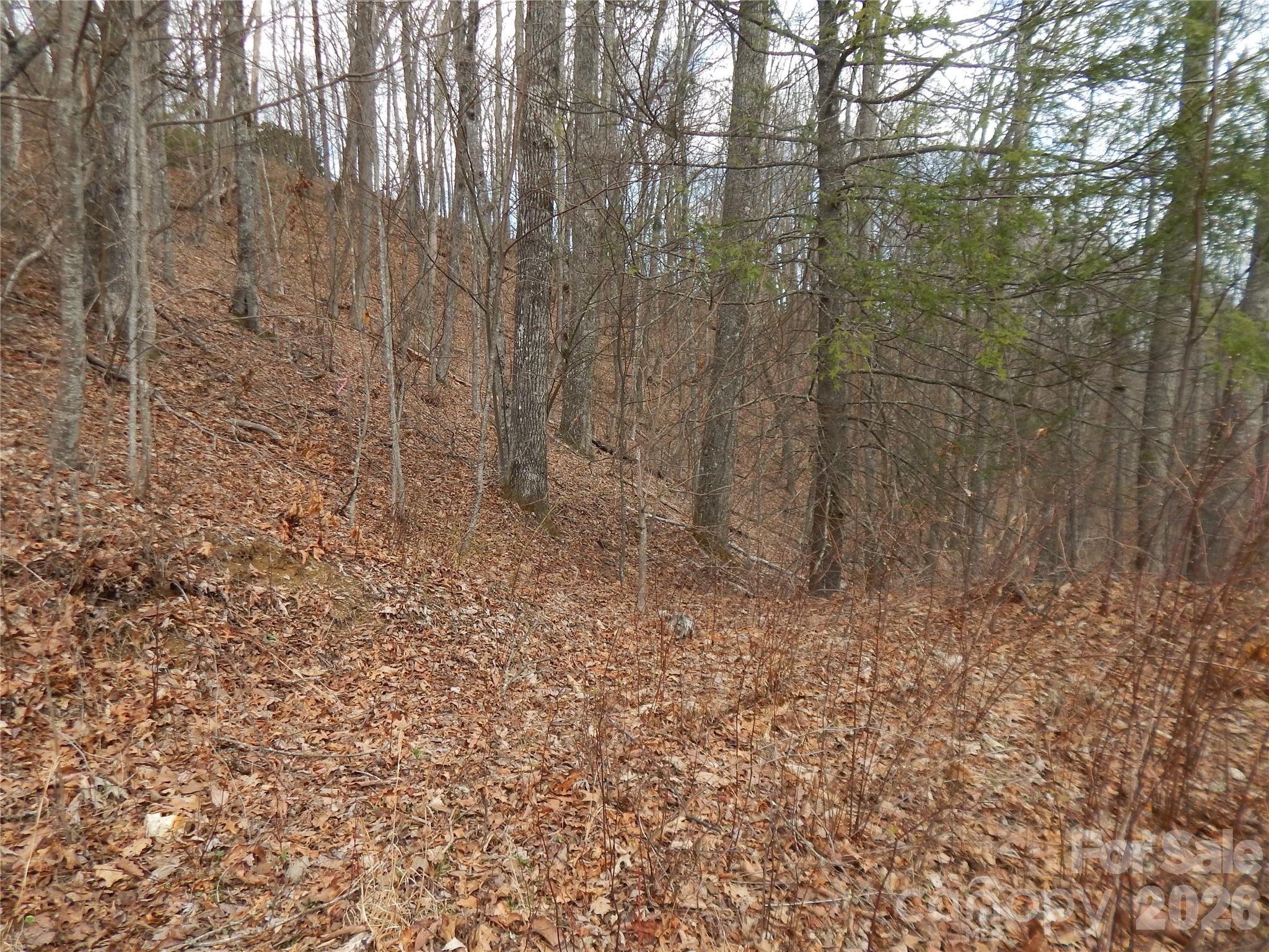 5 Sigogglin Trail