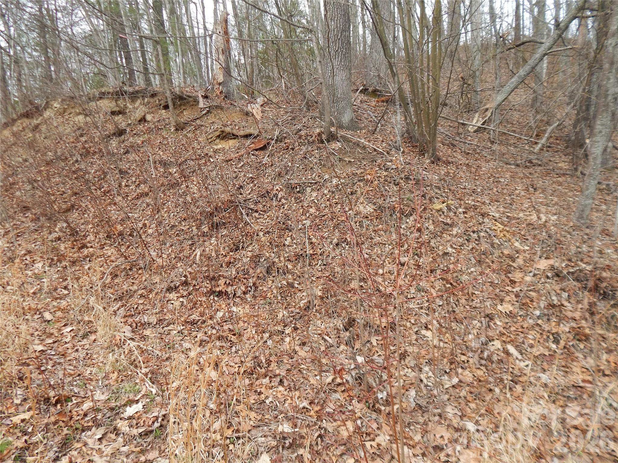 5 Sigogglin Trail