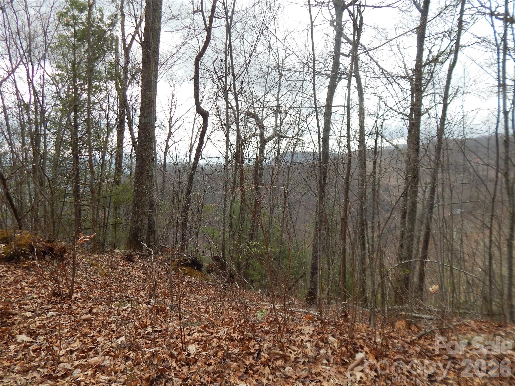 5 Sigogglin Trail