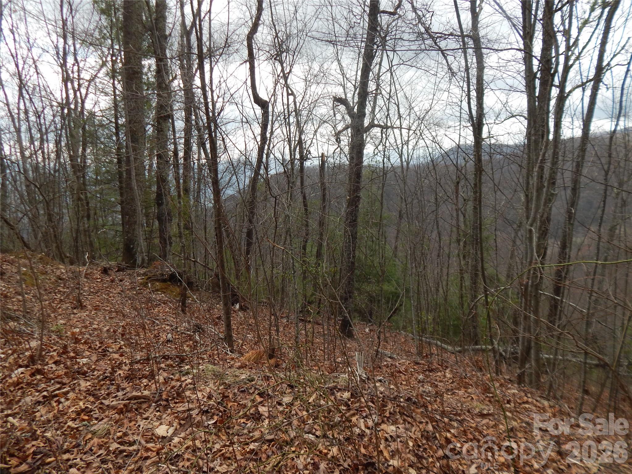 5 Sigogglin Trail