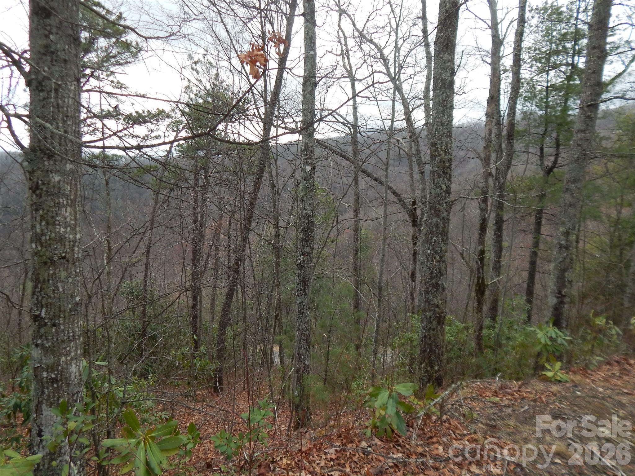 5 Sigogglin Trail