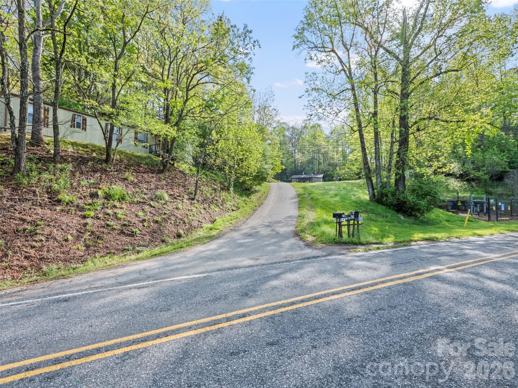 42 Violet Drive