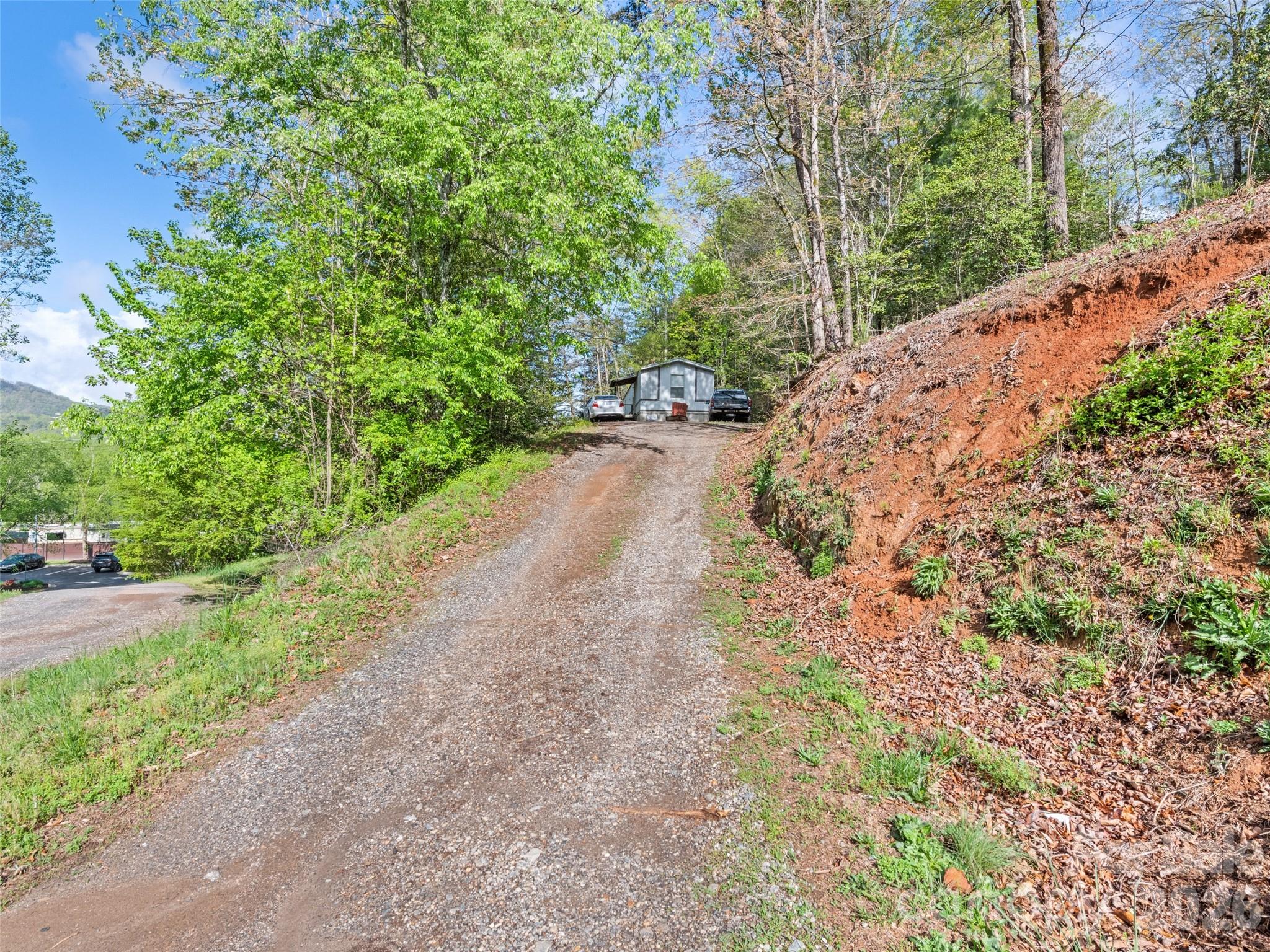 42 Violet Drive