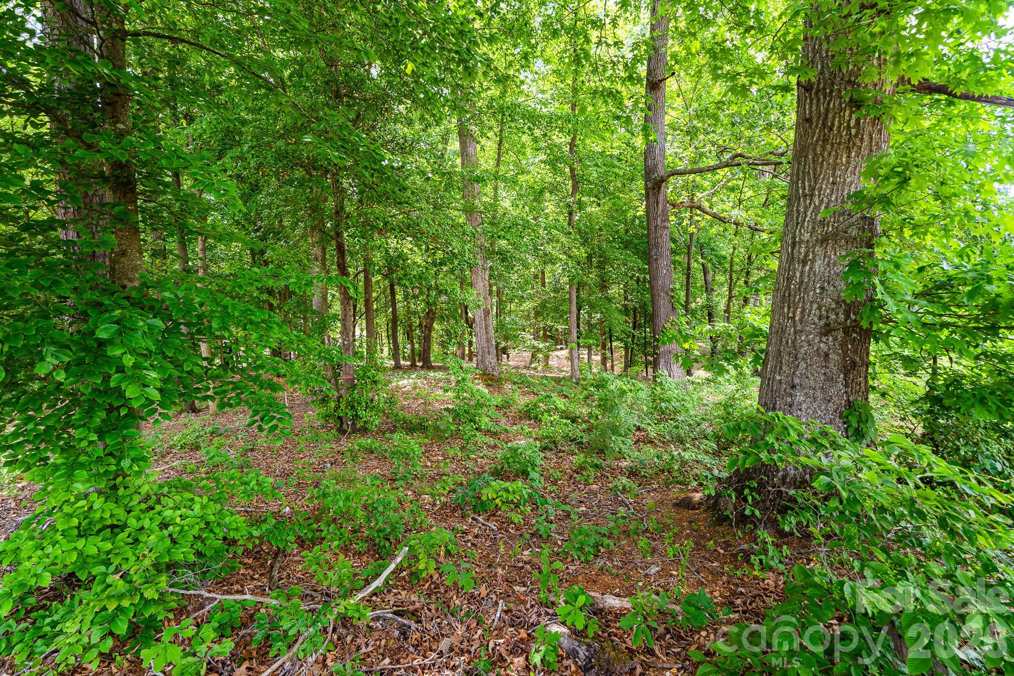 Lot 10 Eagle Pointe Drive