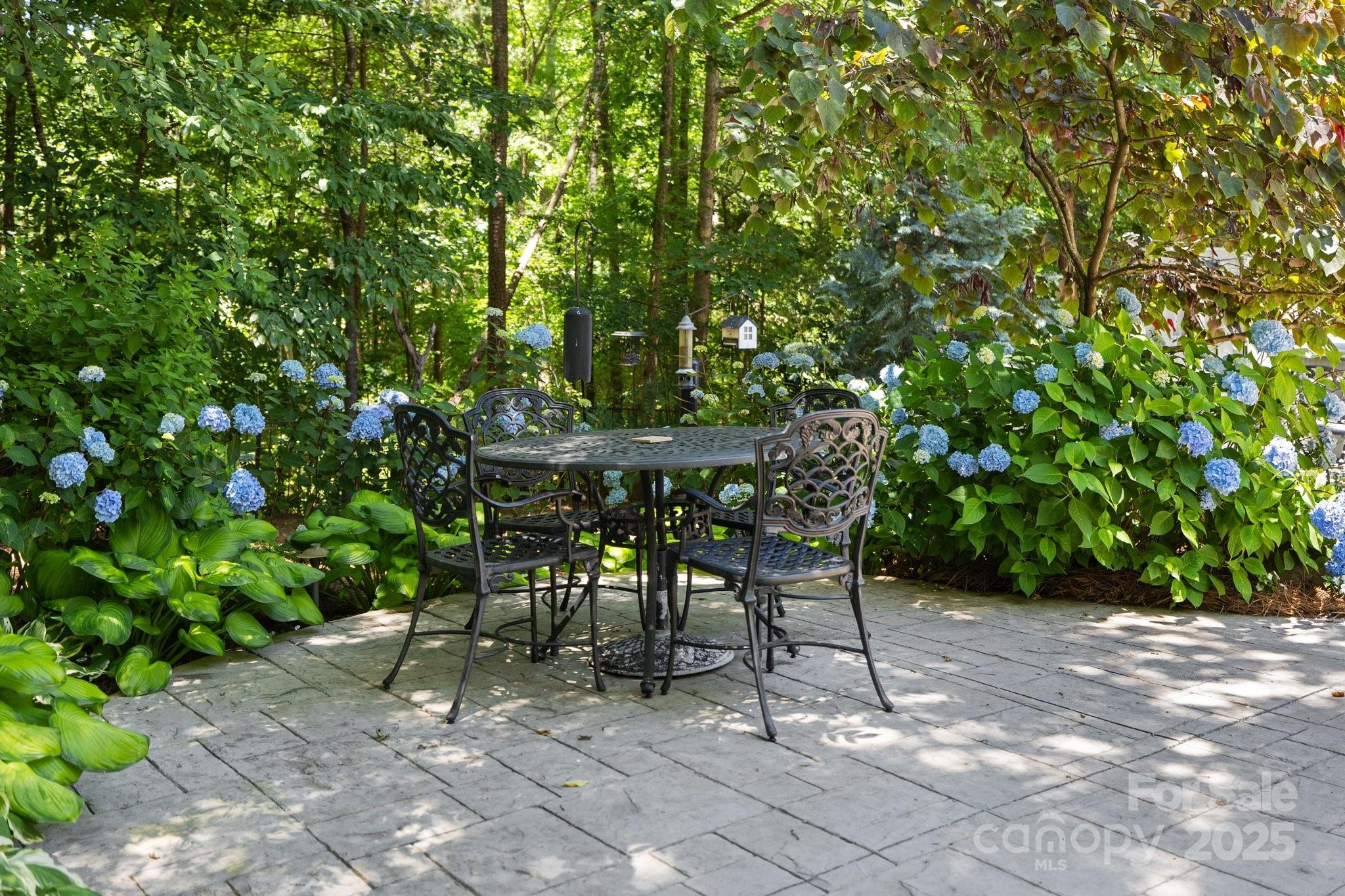 3009 Botetourt Court