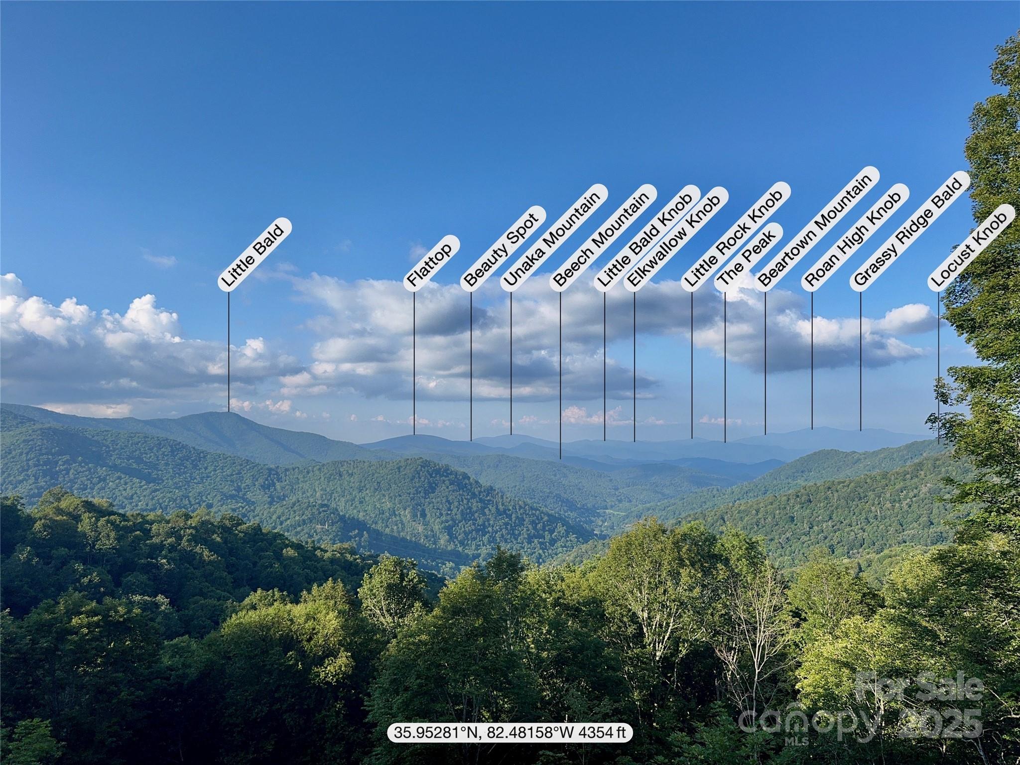 197 Cherry Knob Drive