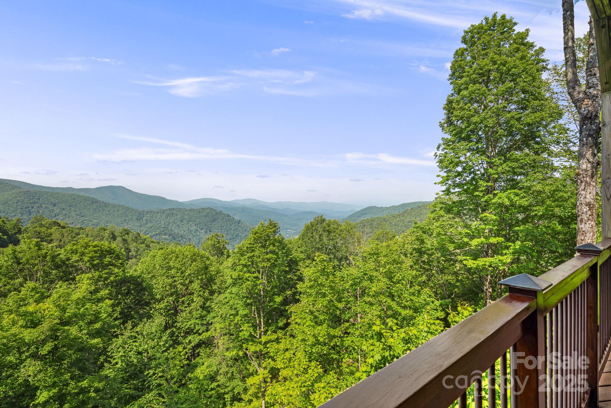 197 Cherry Knob Drive