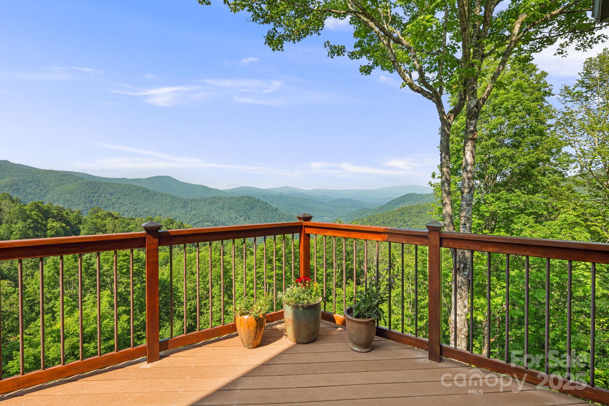 197 Cherry Knob Drive