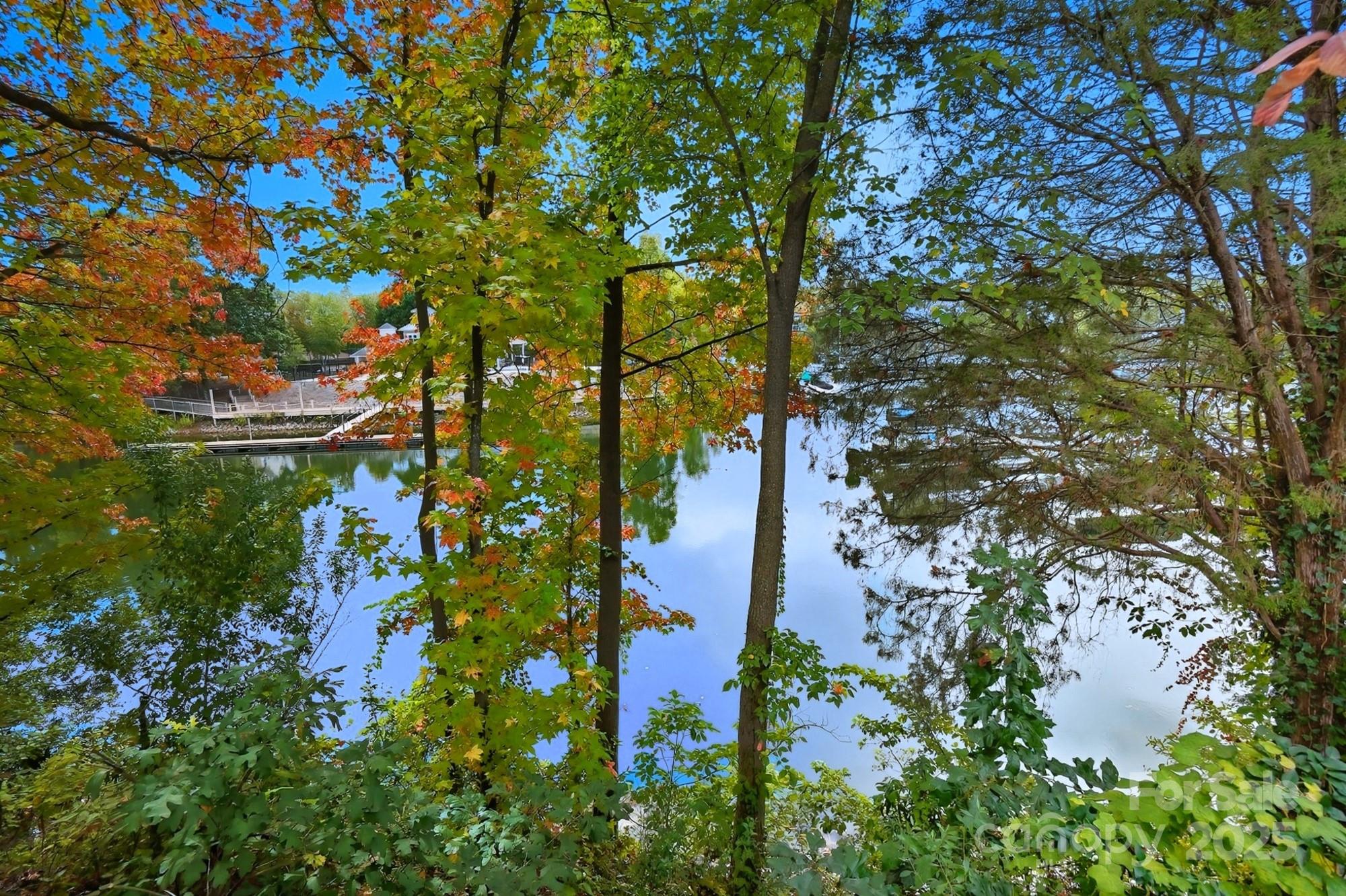 21319 Baltic Drive