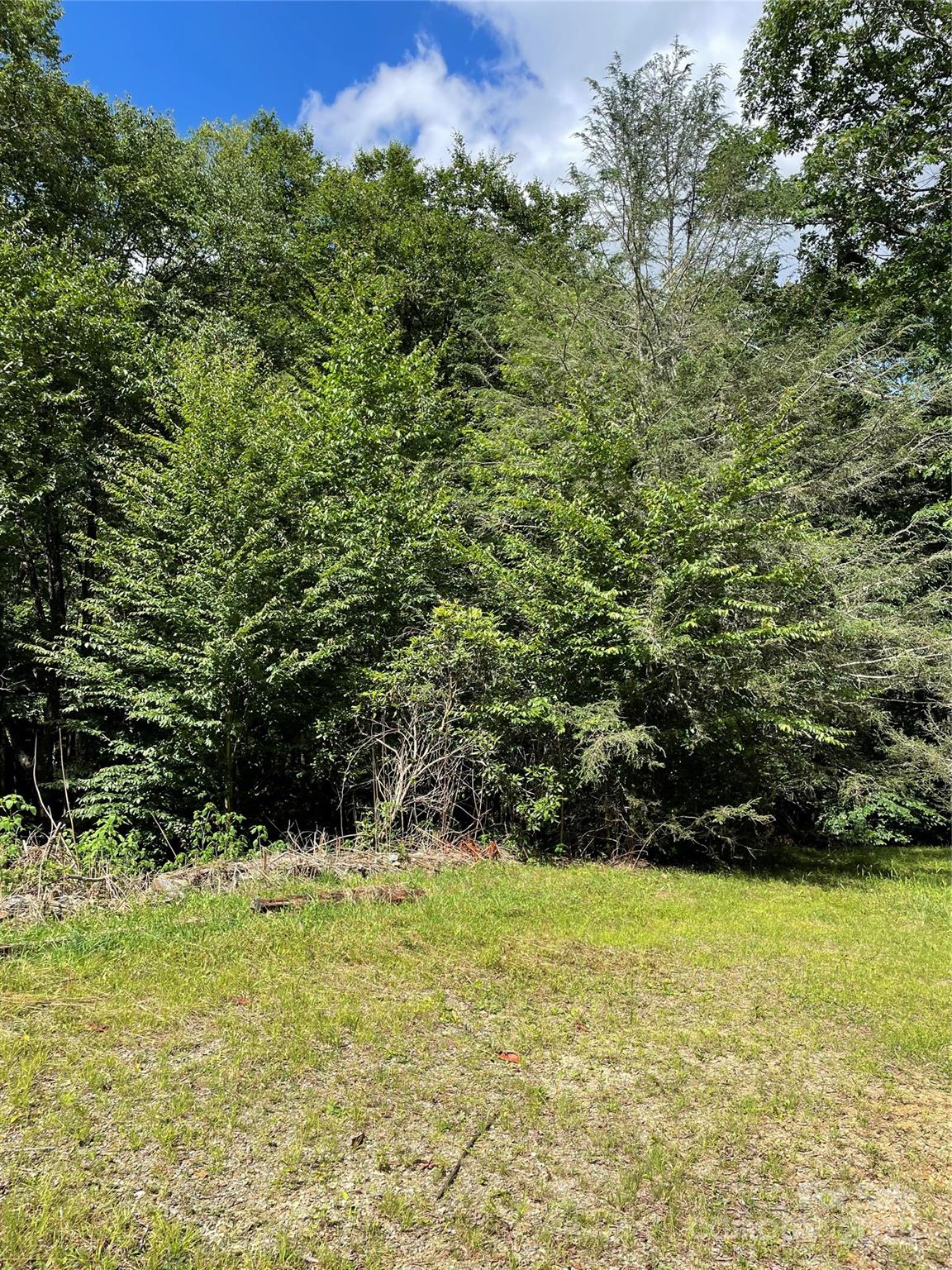 Grassy clearing at the edge of dense woodland beneath a blue, cloud-dotted sky.