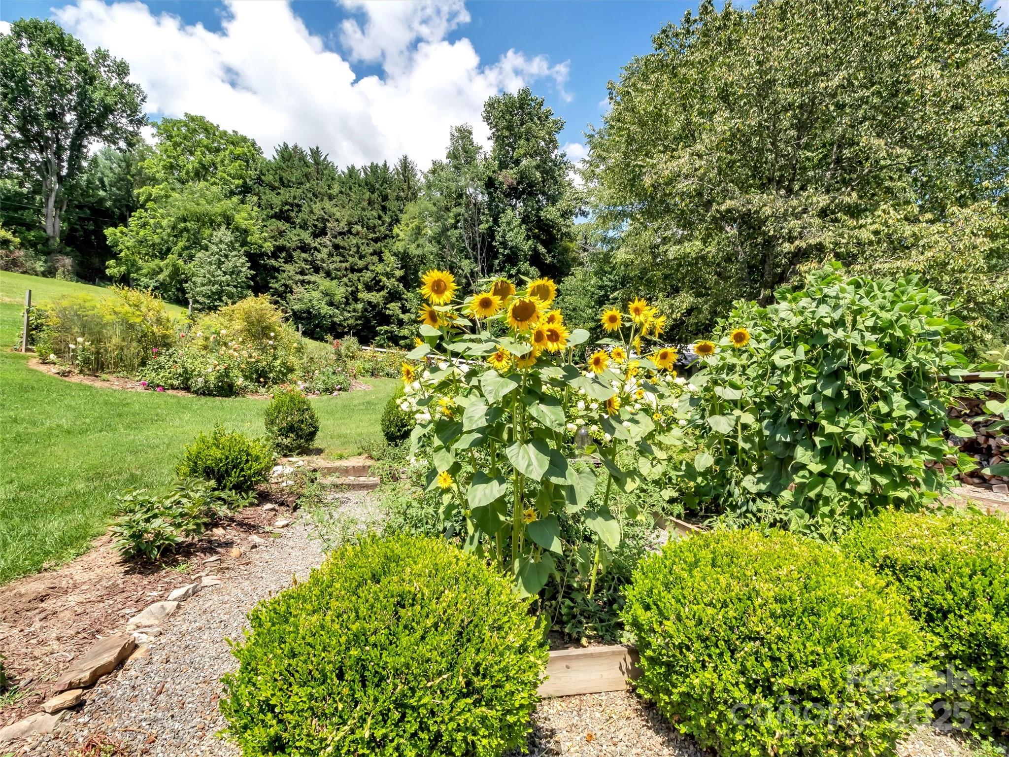 88 Plott Valley Road