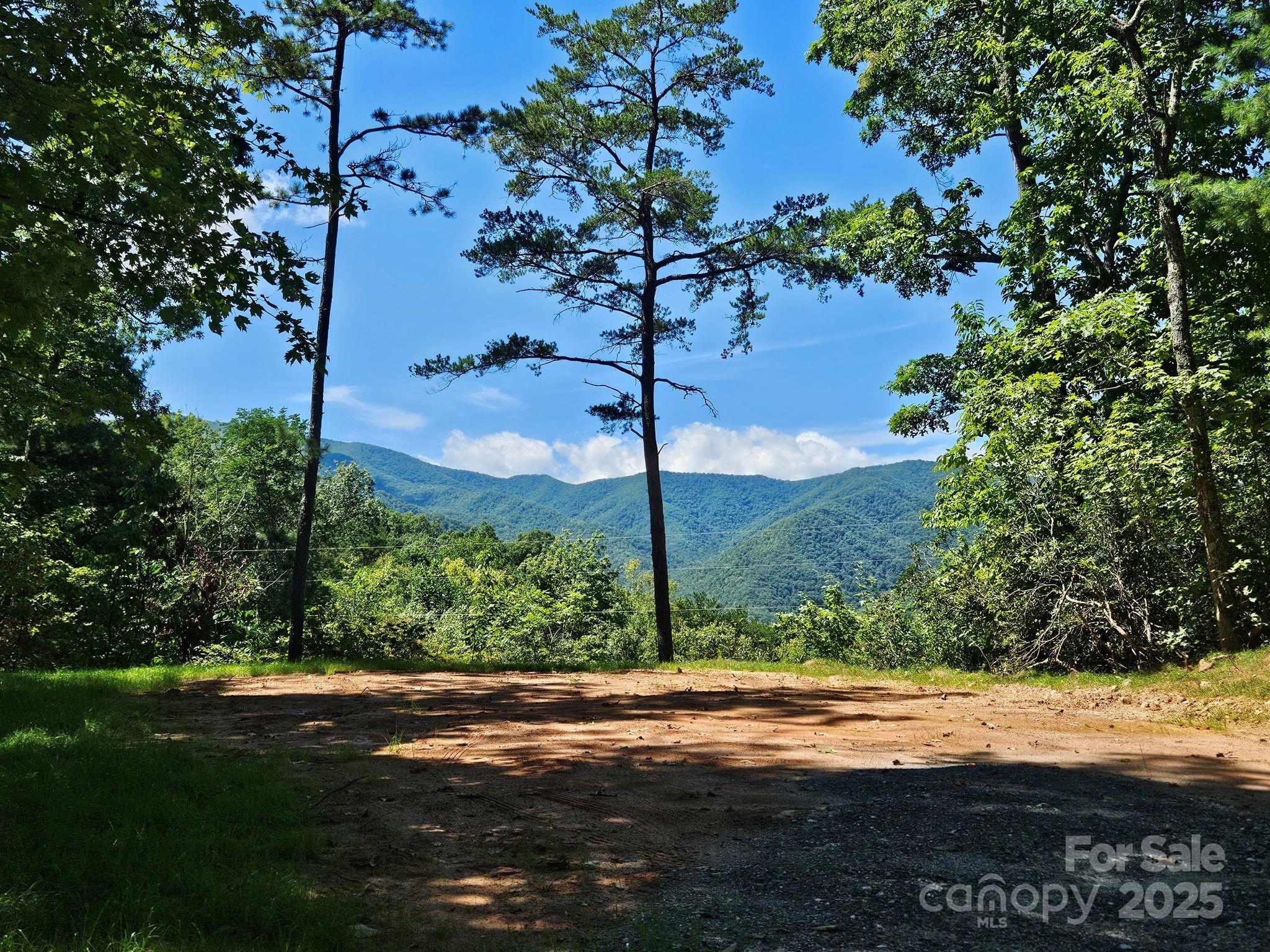 Wooded lot clearing with a view of forested mountain ridges.