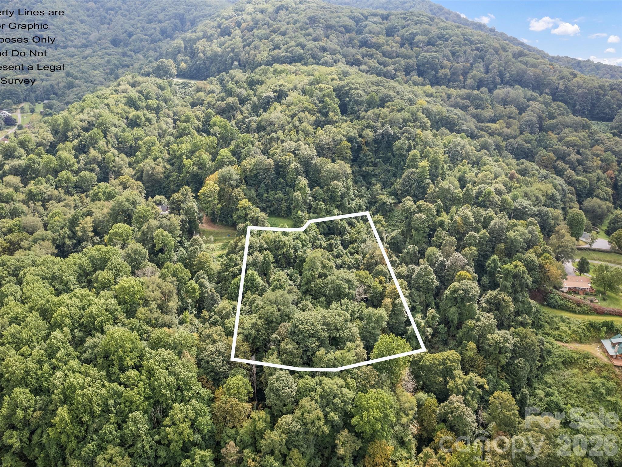 Aerial view of a wooded parcel outlined in white amid forested hills.
