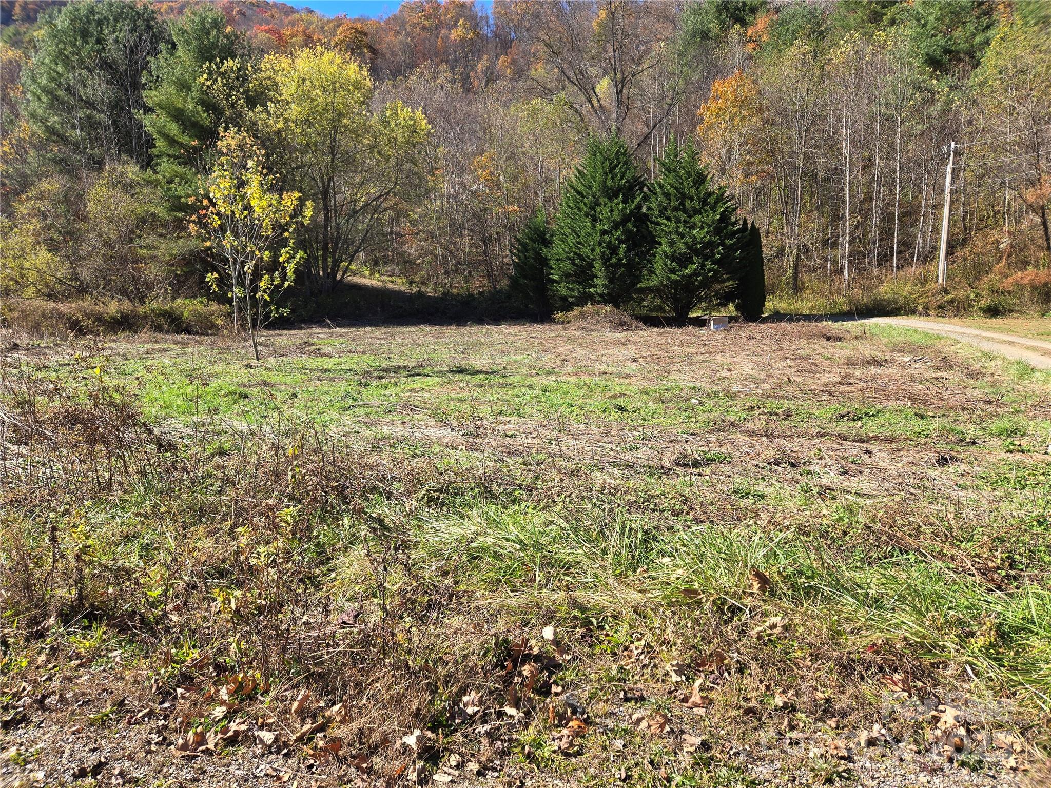 Cleared vacant lot bordered by evergreens and autumn woods, with a gravel driveway along the right side.