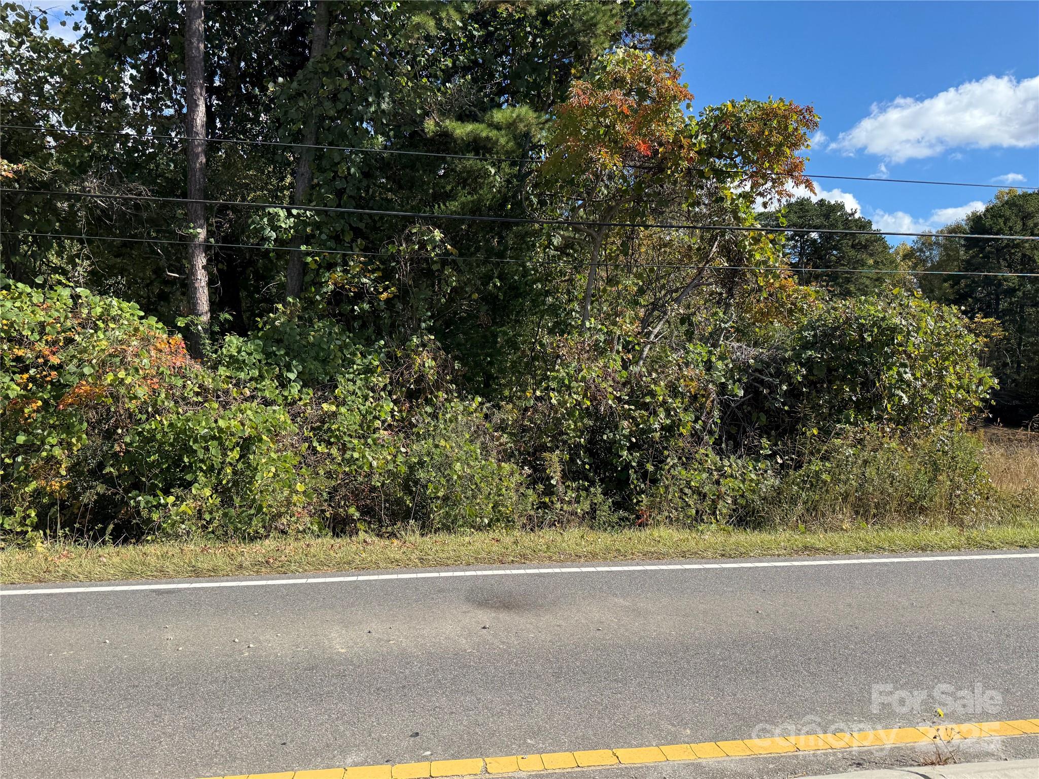 Wooded roadside property with dense trees, overhead utility lines, and a paved road.