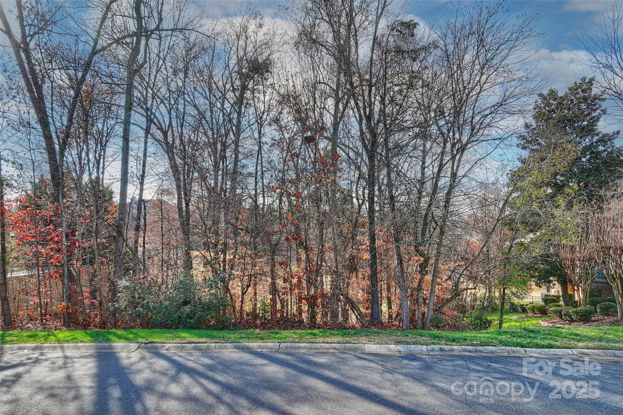 Wooded roadside lot with mostly bare trees and a strip of green grass.