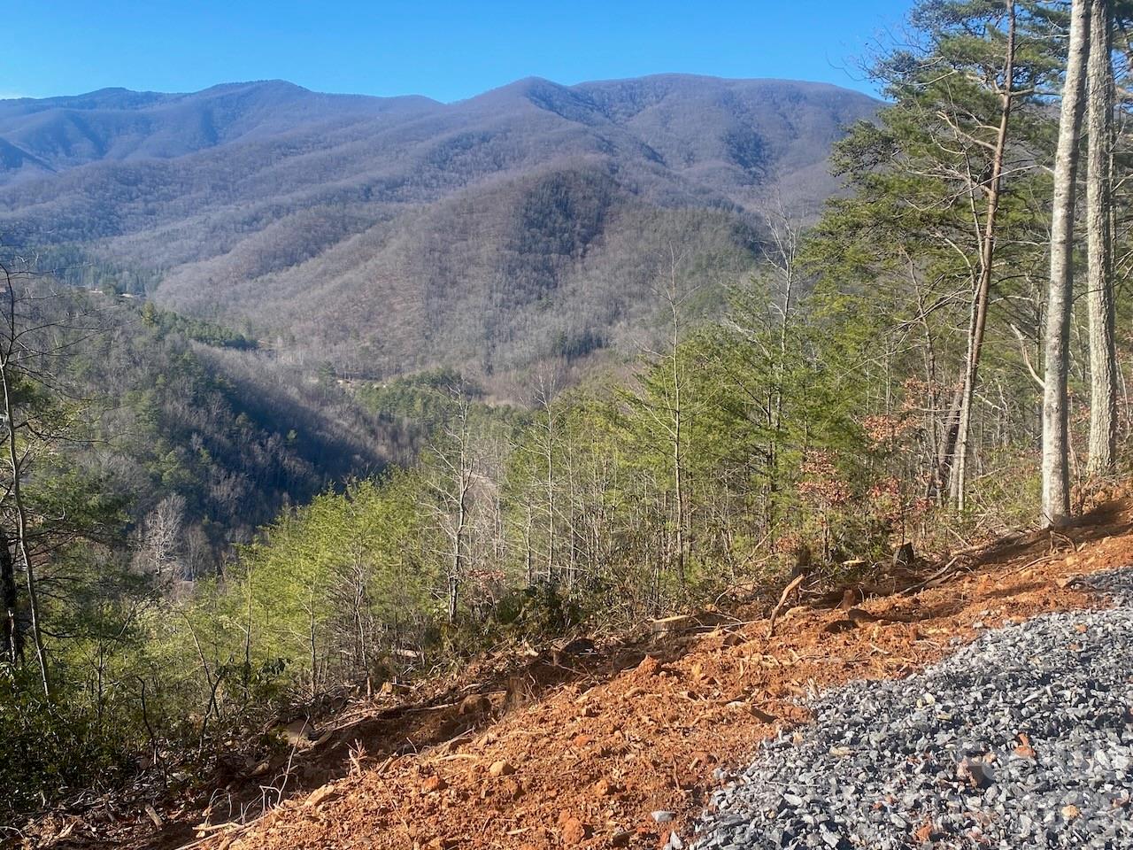 000 Blue Vista Road