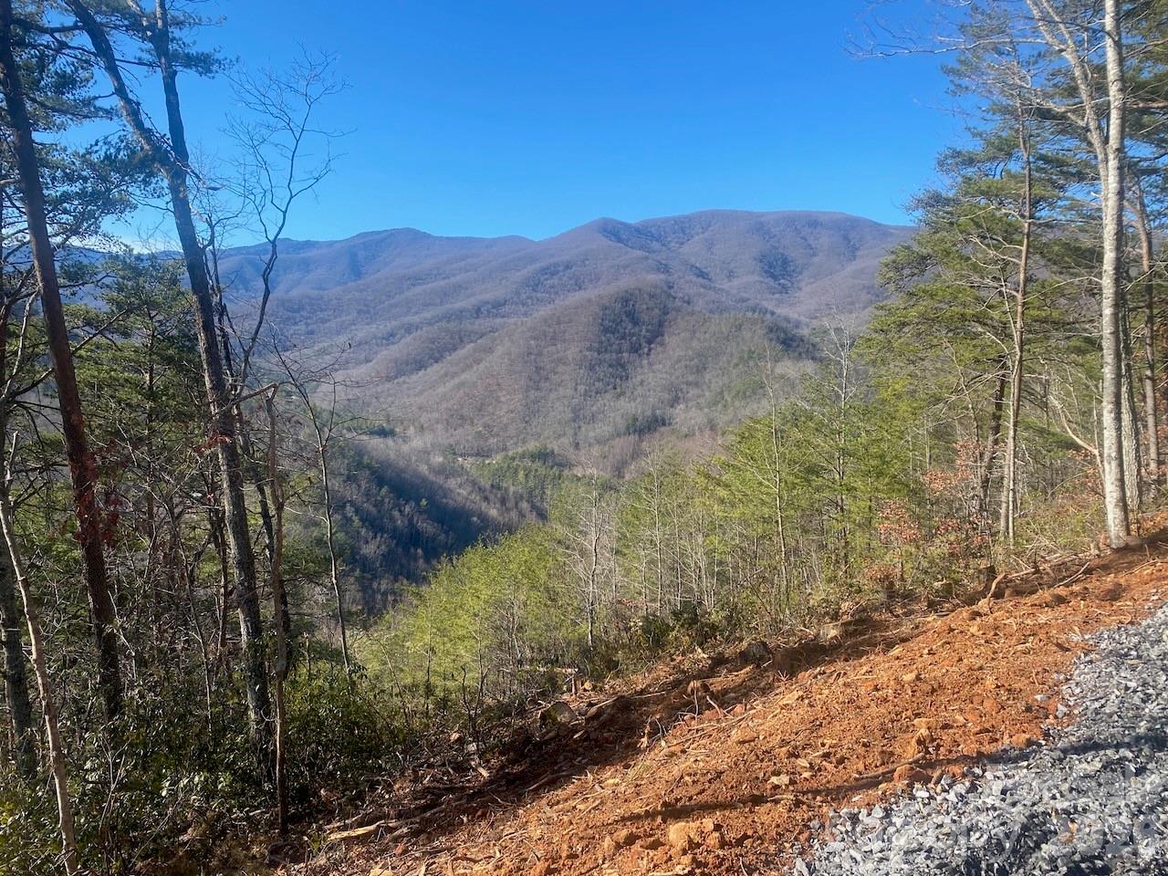 000 Blue Vista Road