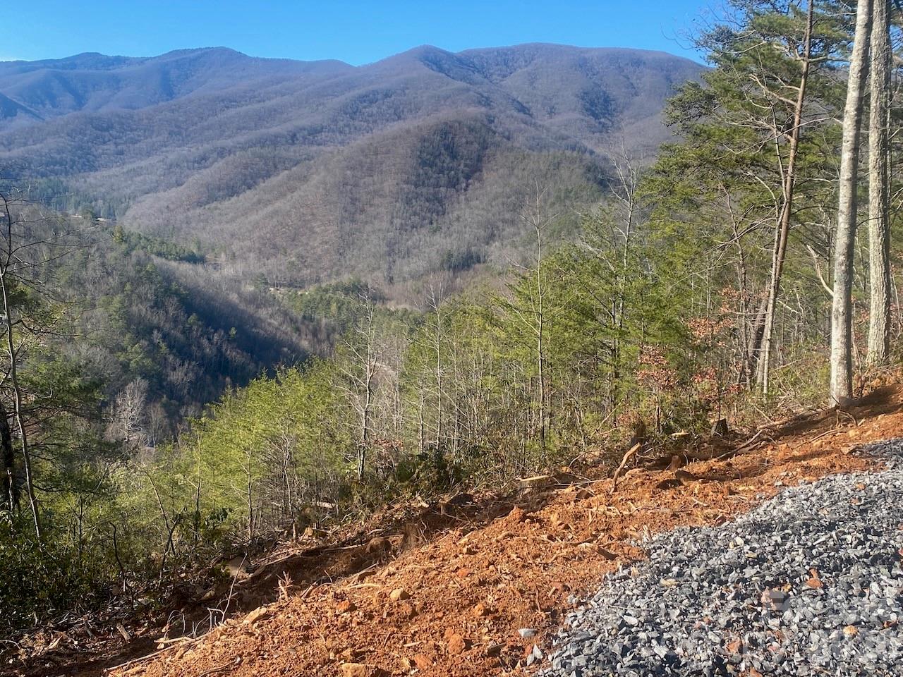 000 Blue Vista Road