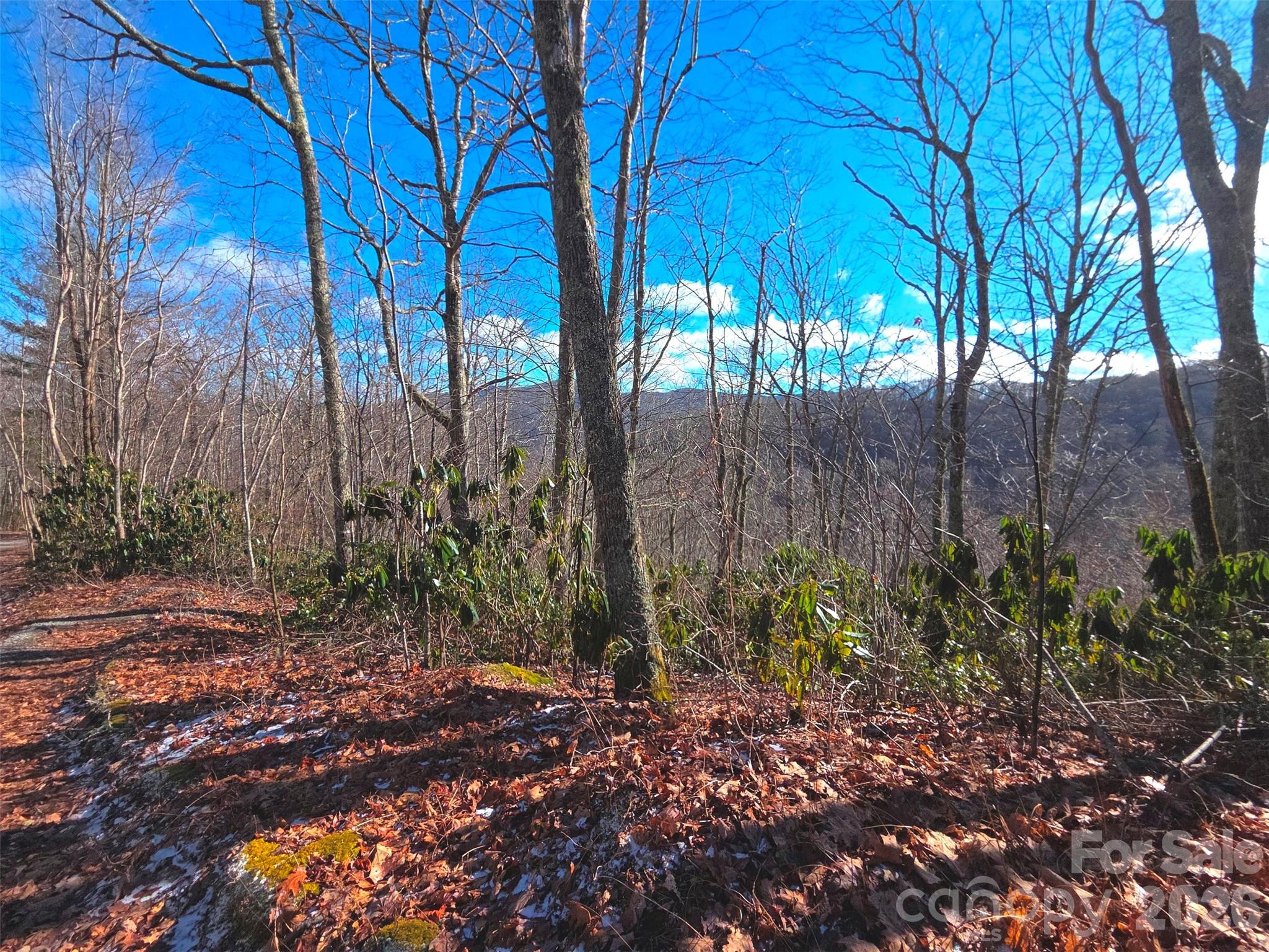 550 Sky Drive Unit: 12A