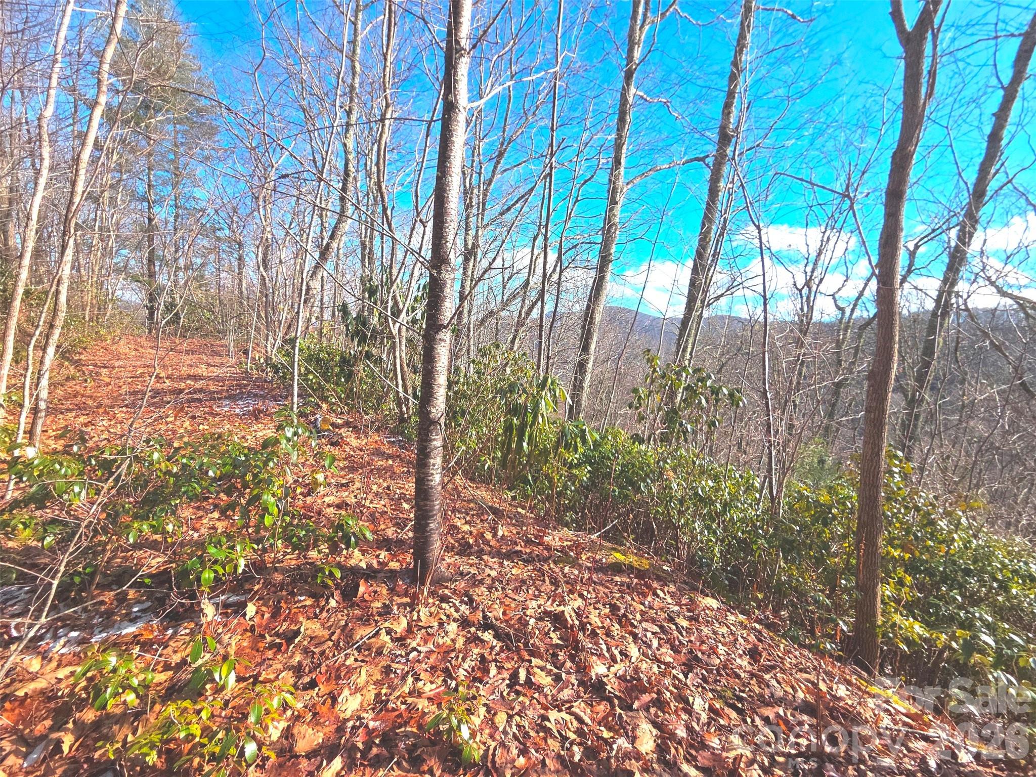 550 Sky Drive Unit: 12A
