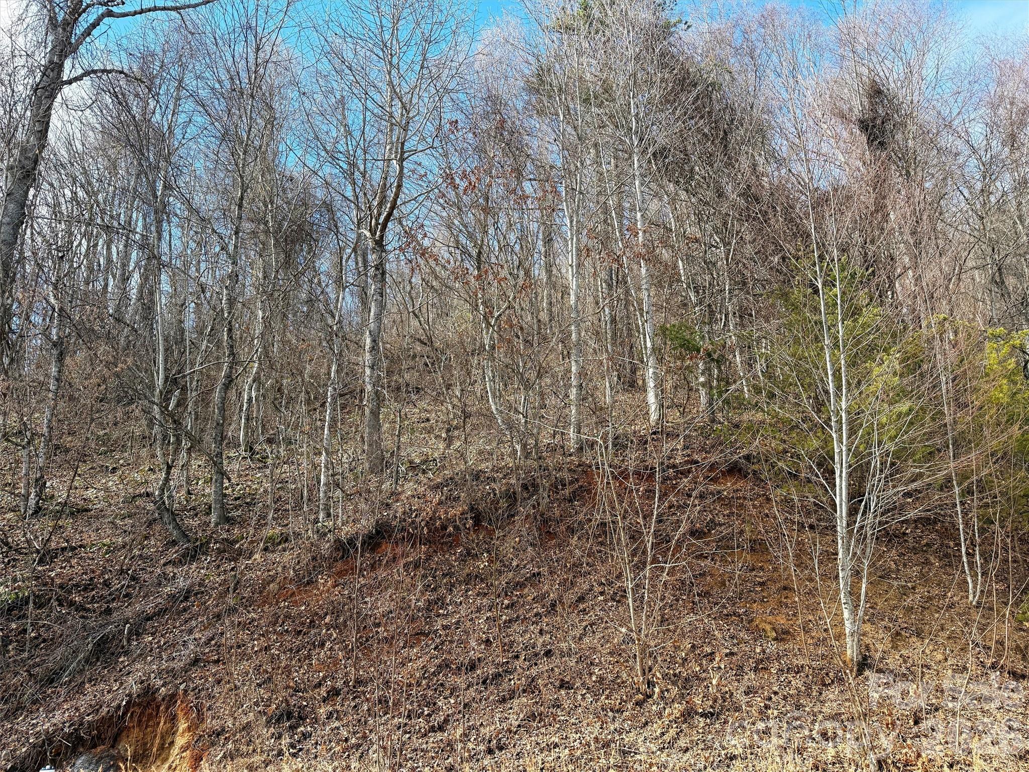 TBD Rock Ridge Road Unit: 9A & 9B