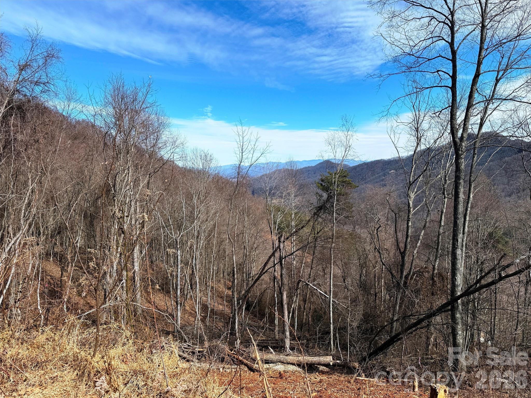 TBD Rock Ridge Road Unit: 9A & 9B