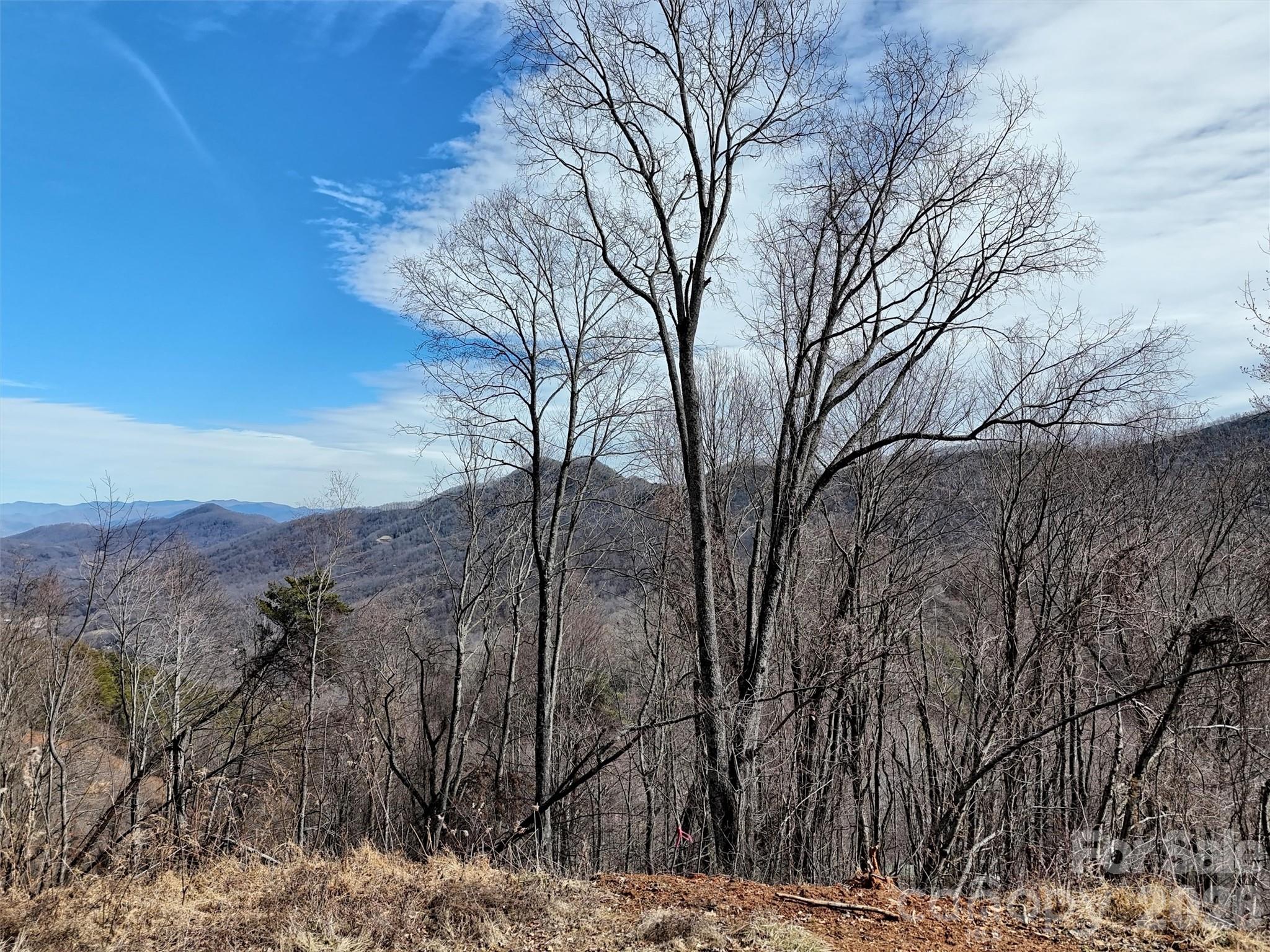 TBD Rock Ridge Road Unit: 9A & 9B