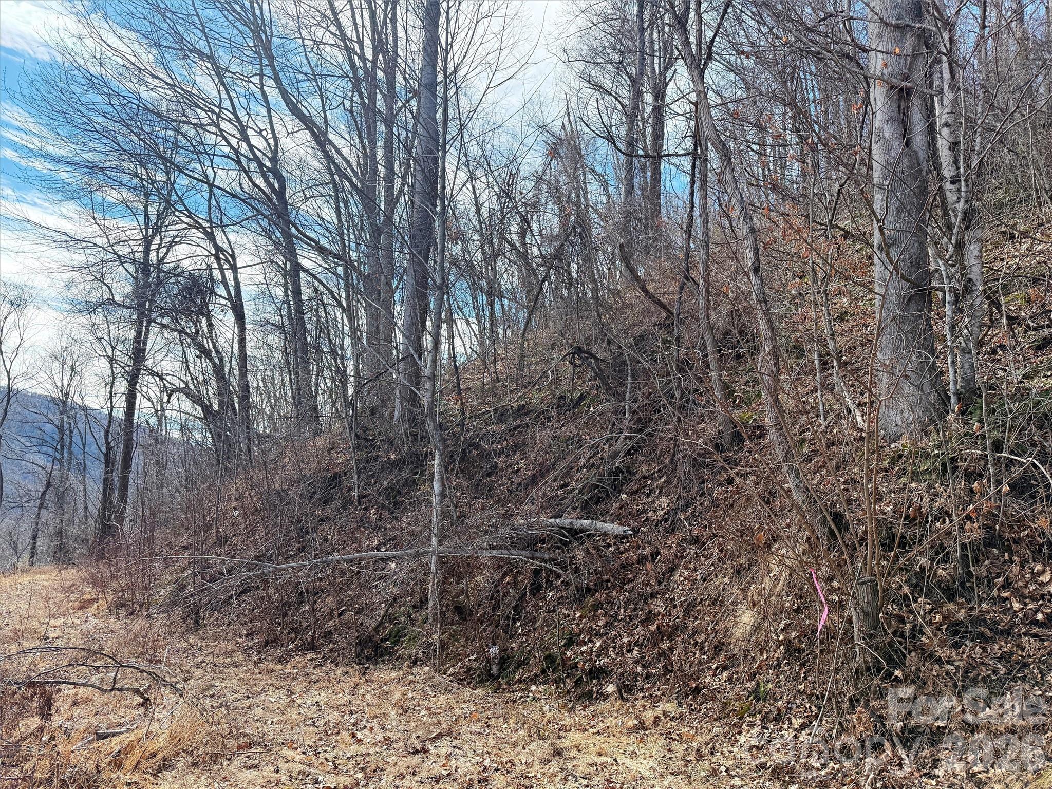 TBD Rock Ridge Road Unit: 9A & 9B