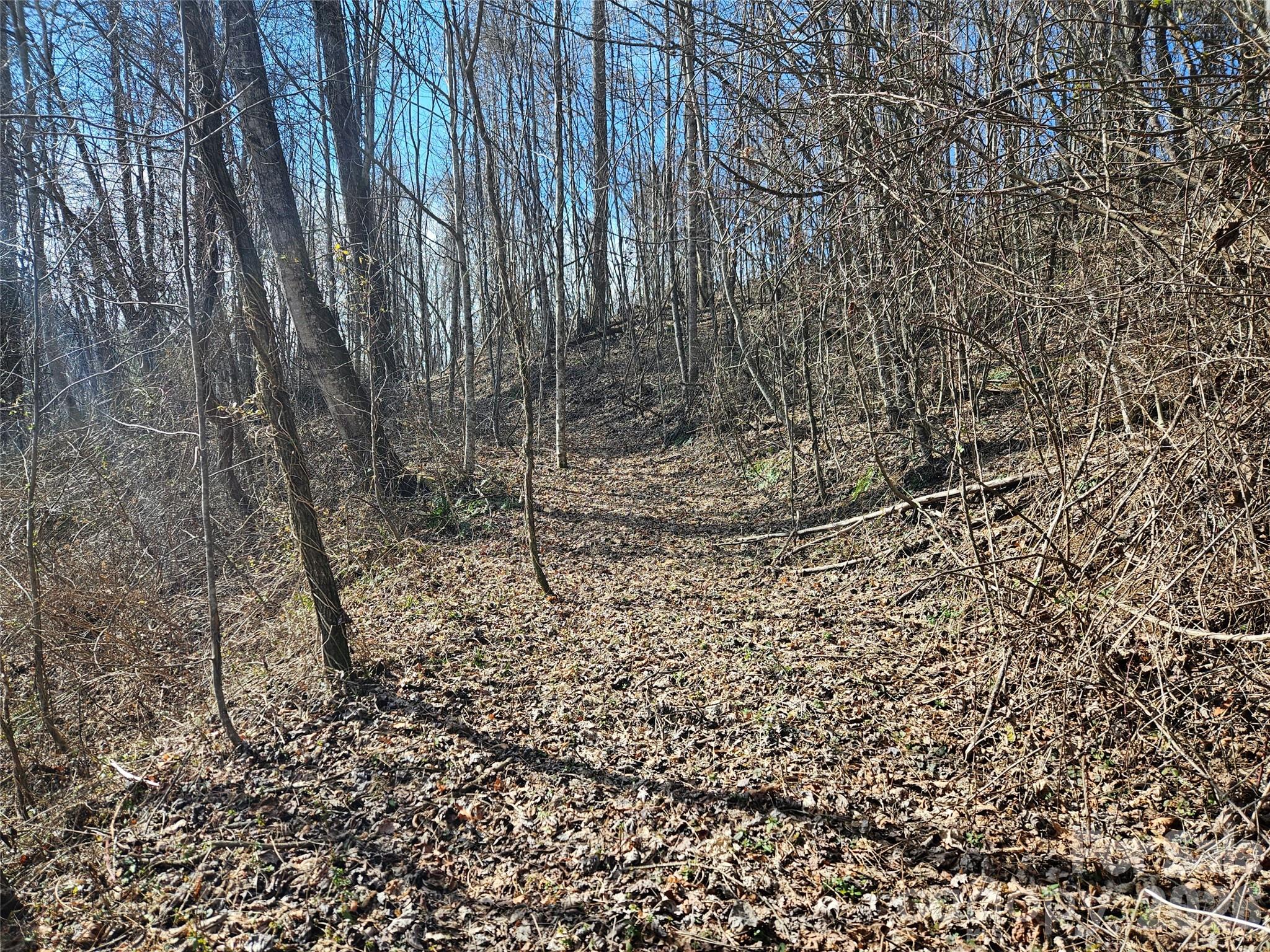 0 Woodfin Road