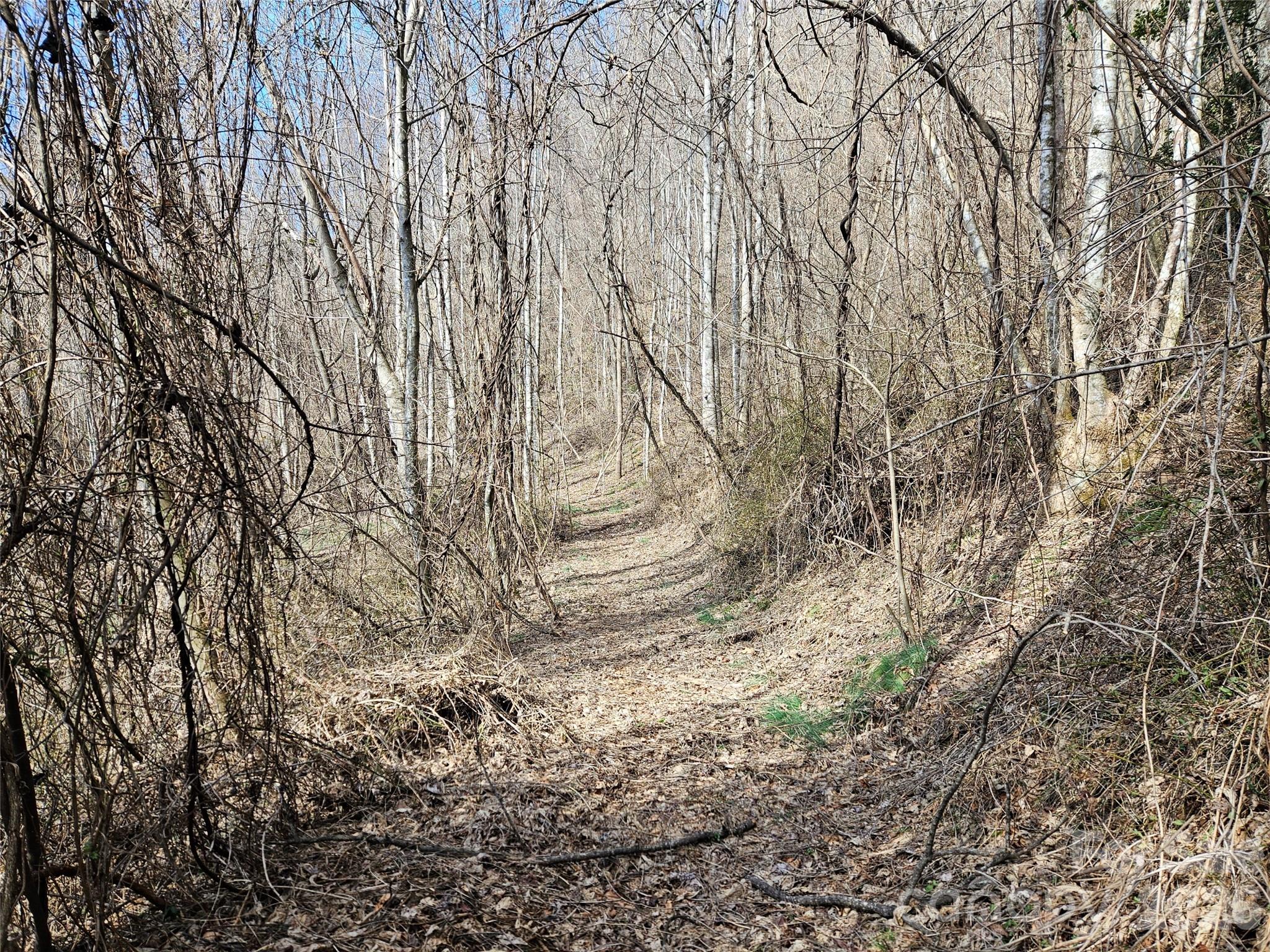 0 Woodfin Road