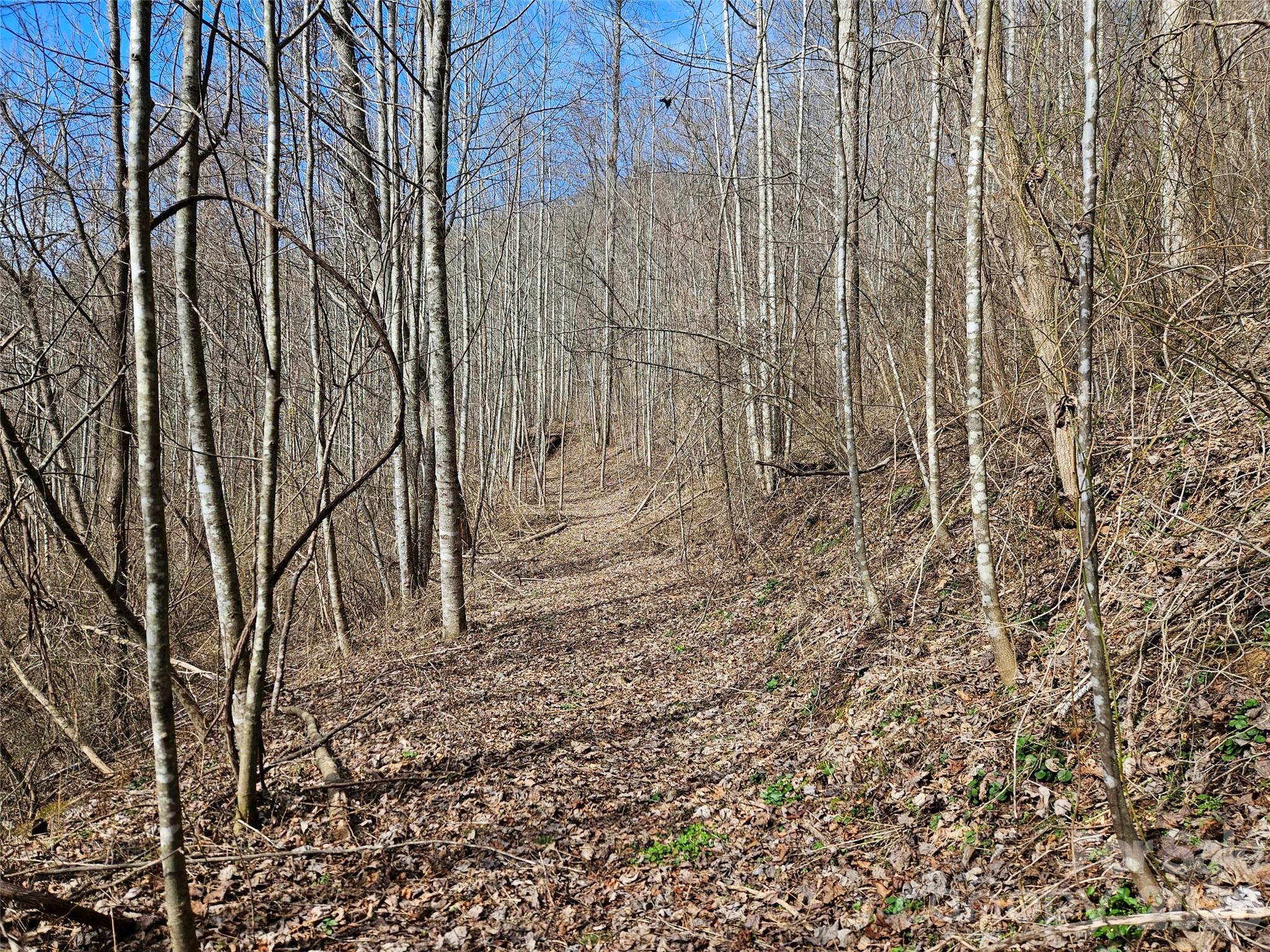 0 Woodfin Road