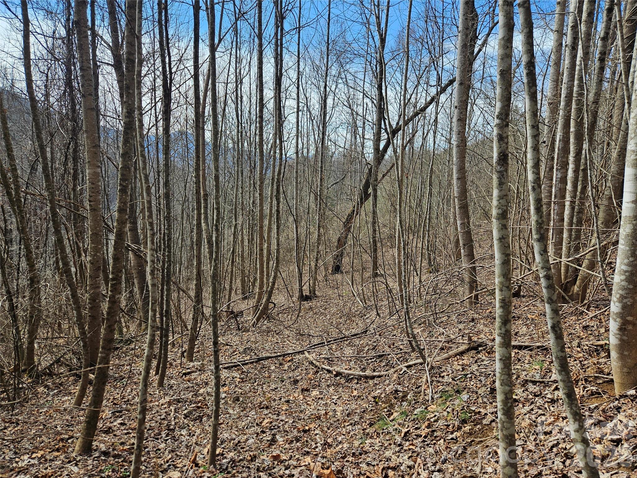 0 Woodfin Road