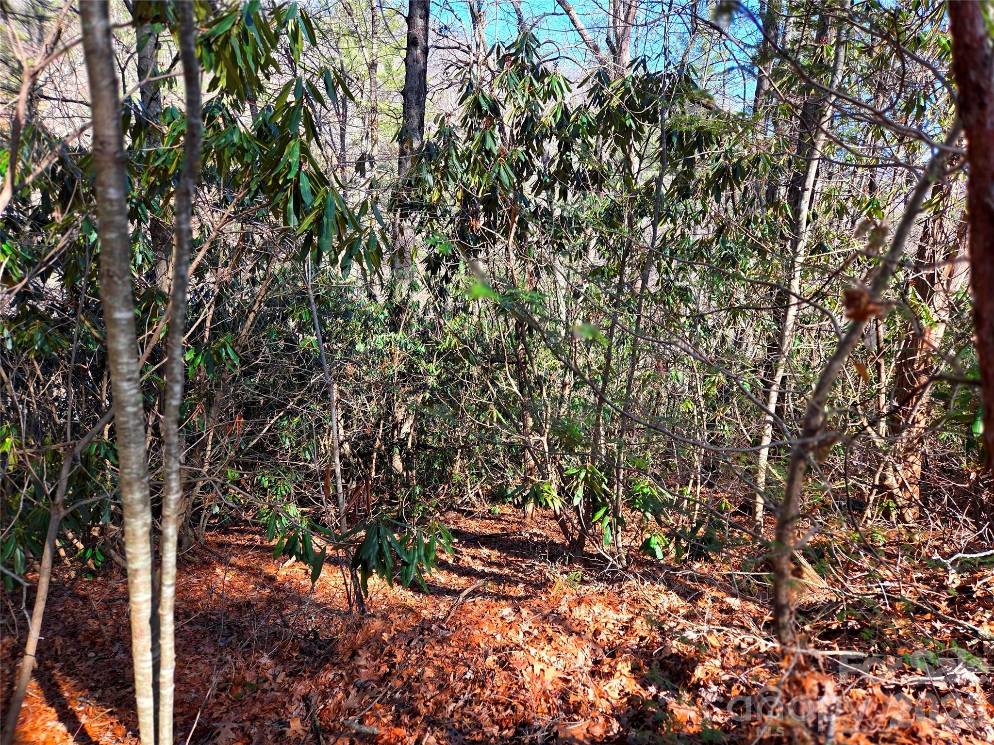 230 Serendipity Lane Unit: 105