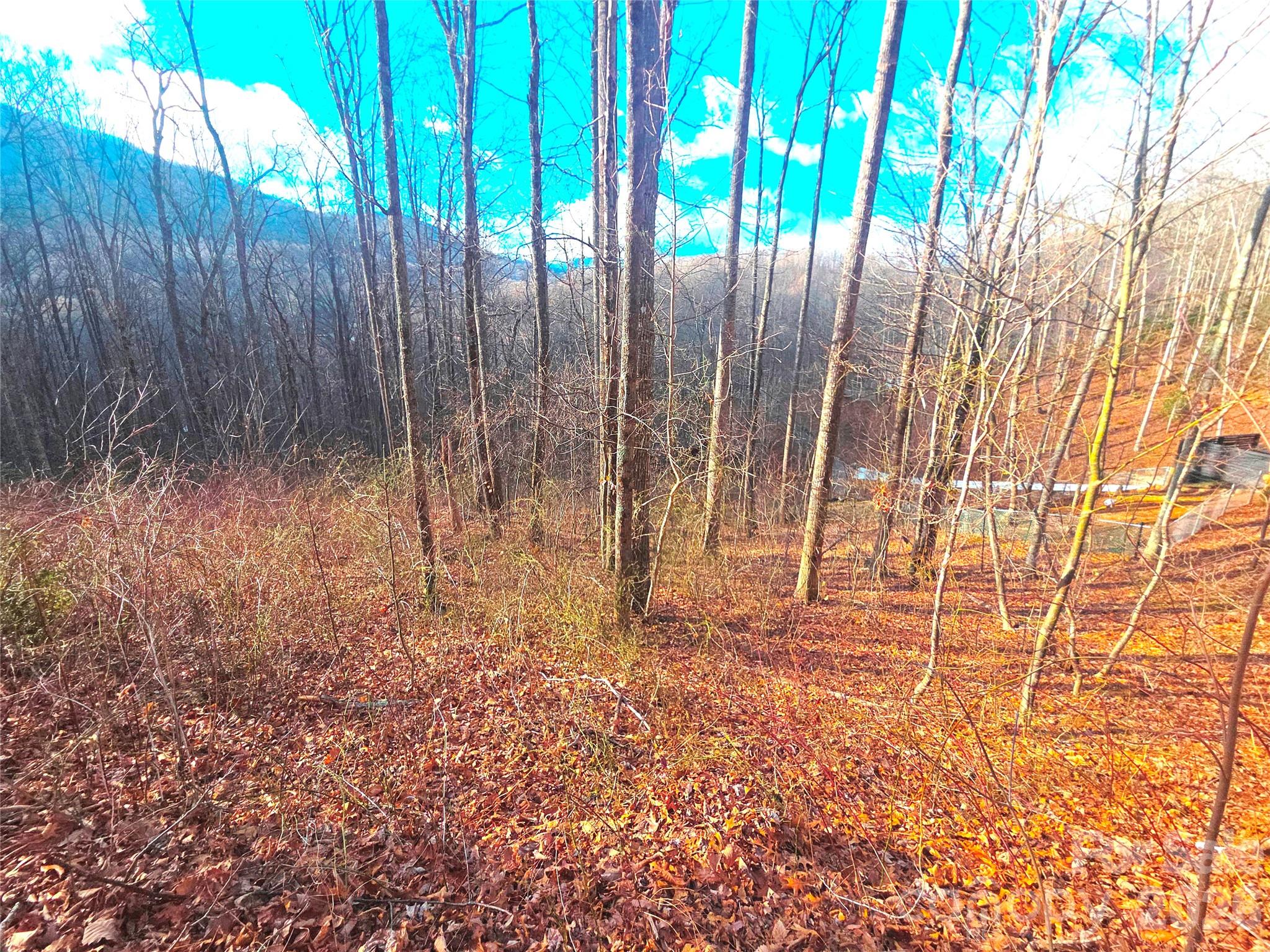 900 Fern Trail Unit: 31