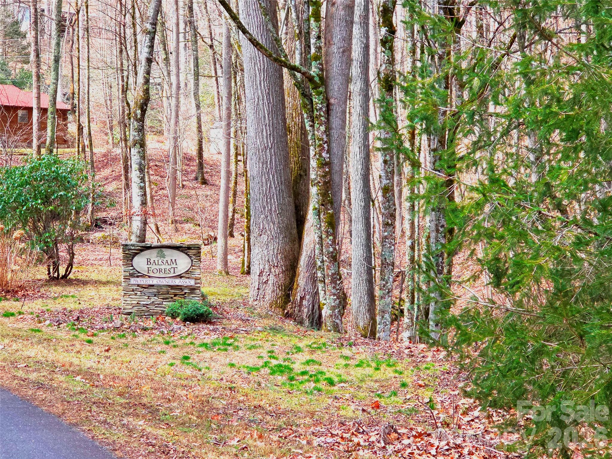 900 Fern Trail Unit: 31
