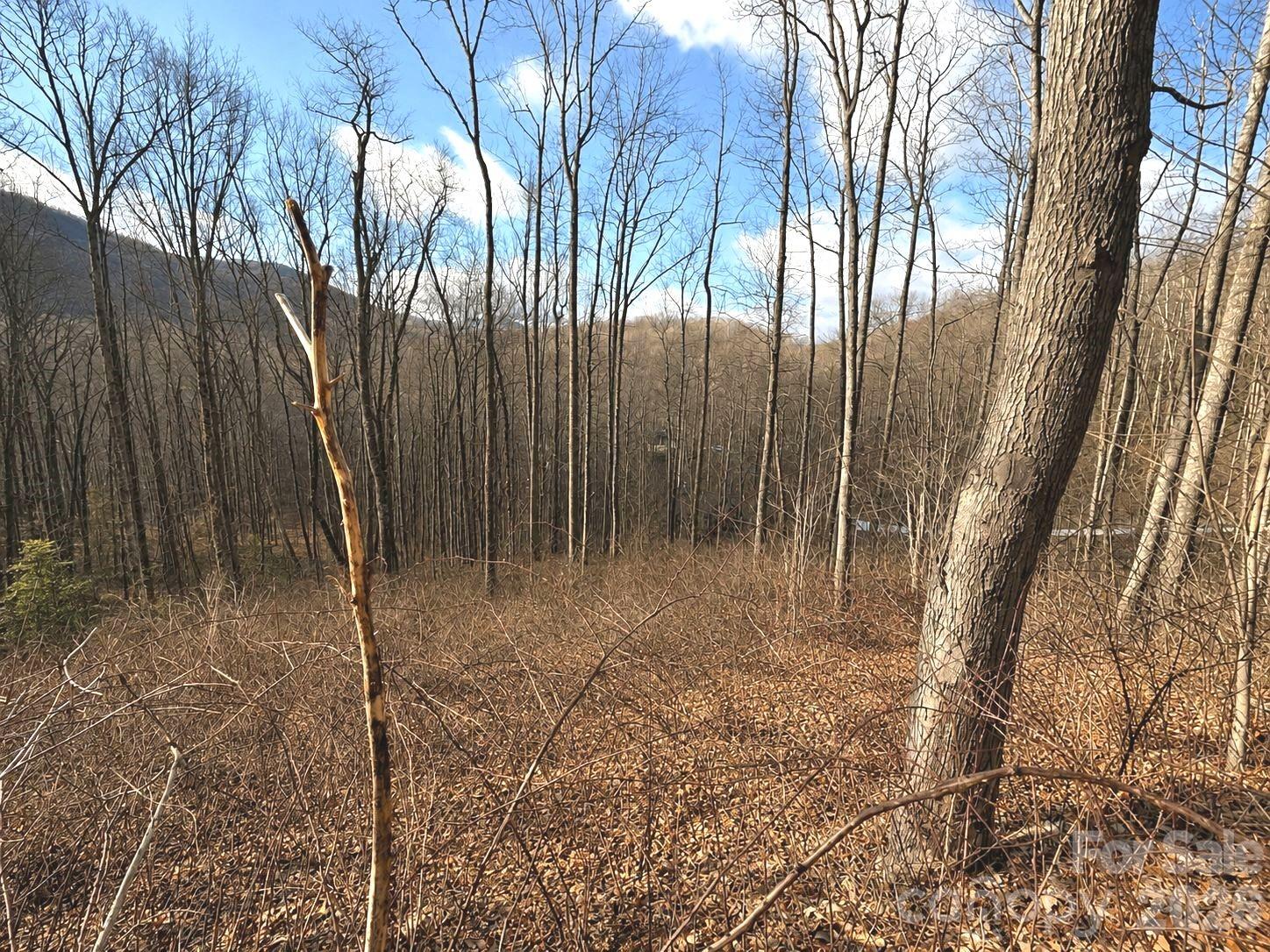 900 Fern Trail Unit: 31