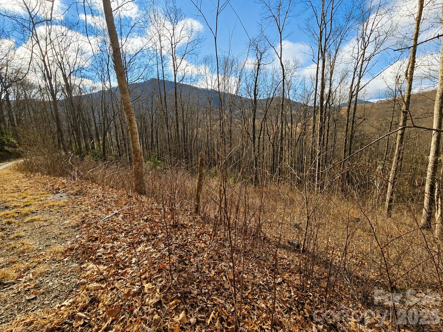 900 Fern Trail Unit: 31