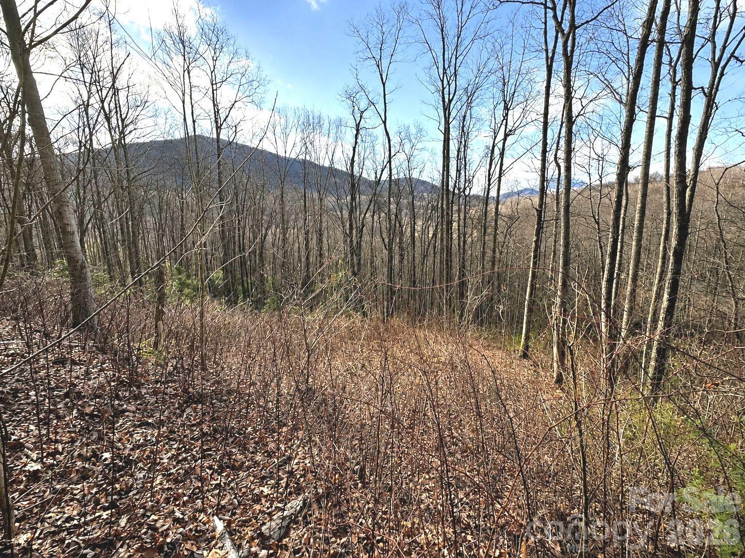 900 Fern Trail Unit: 31