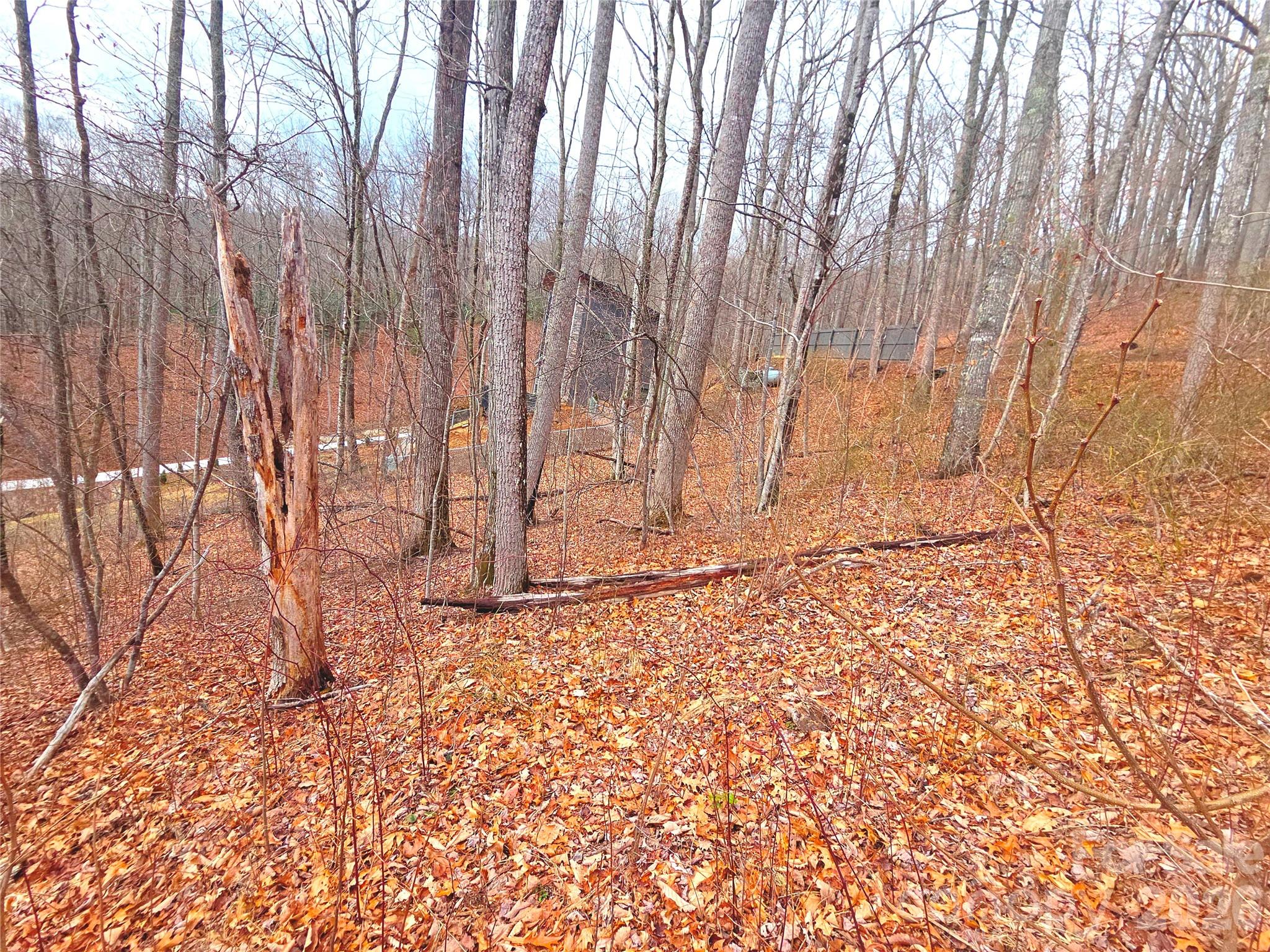 900 Fern Trail Unit: 31