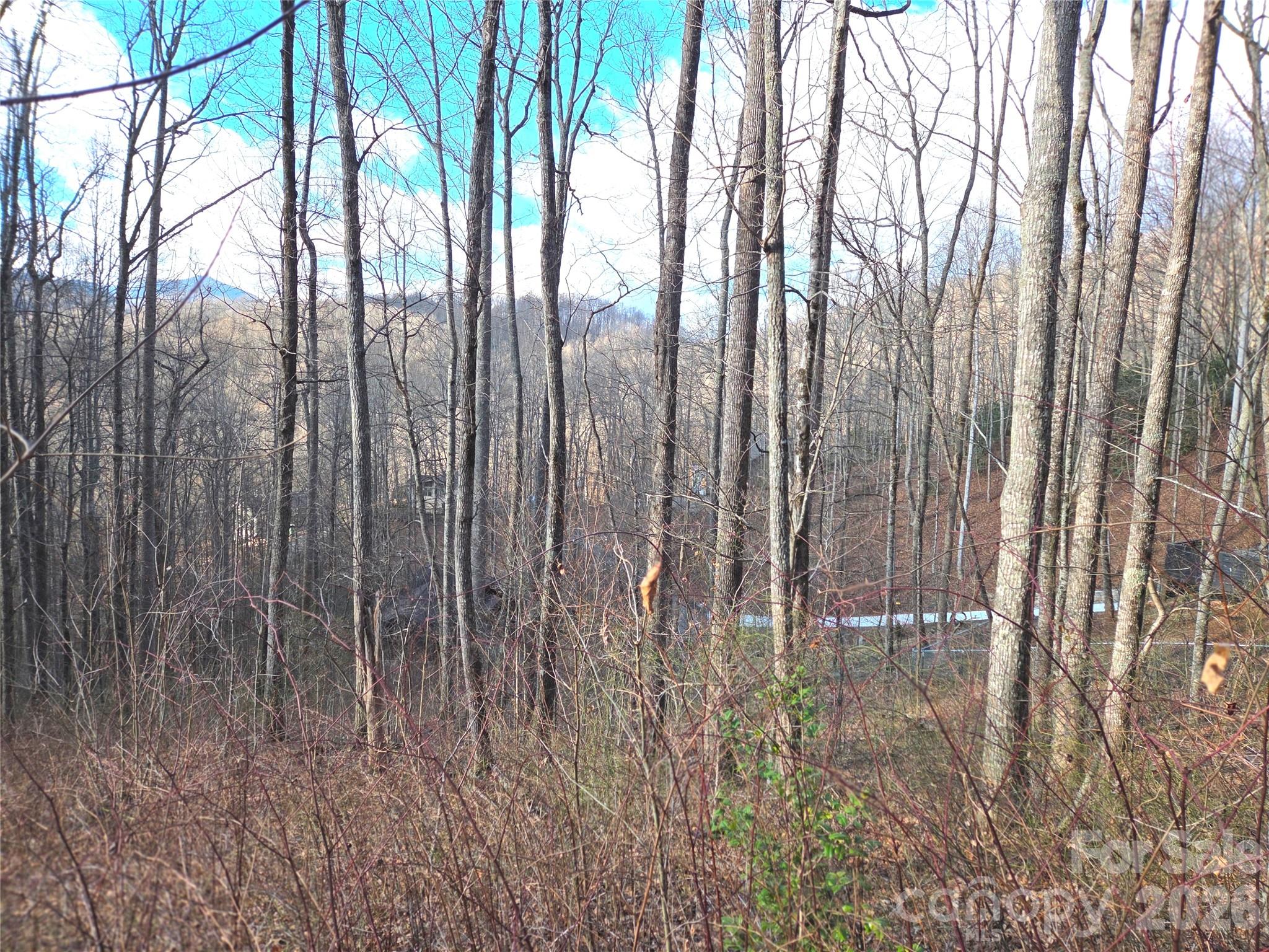 900 Fern Trail Unit: 31