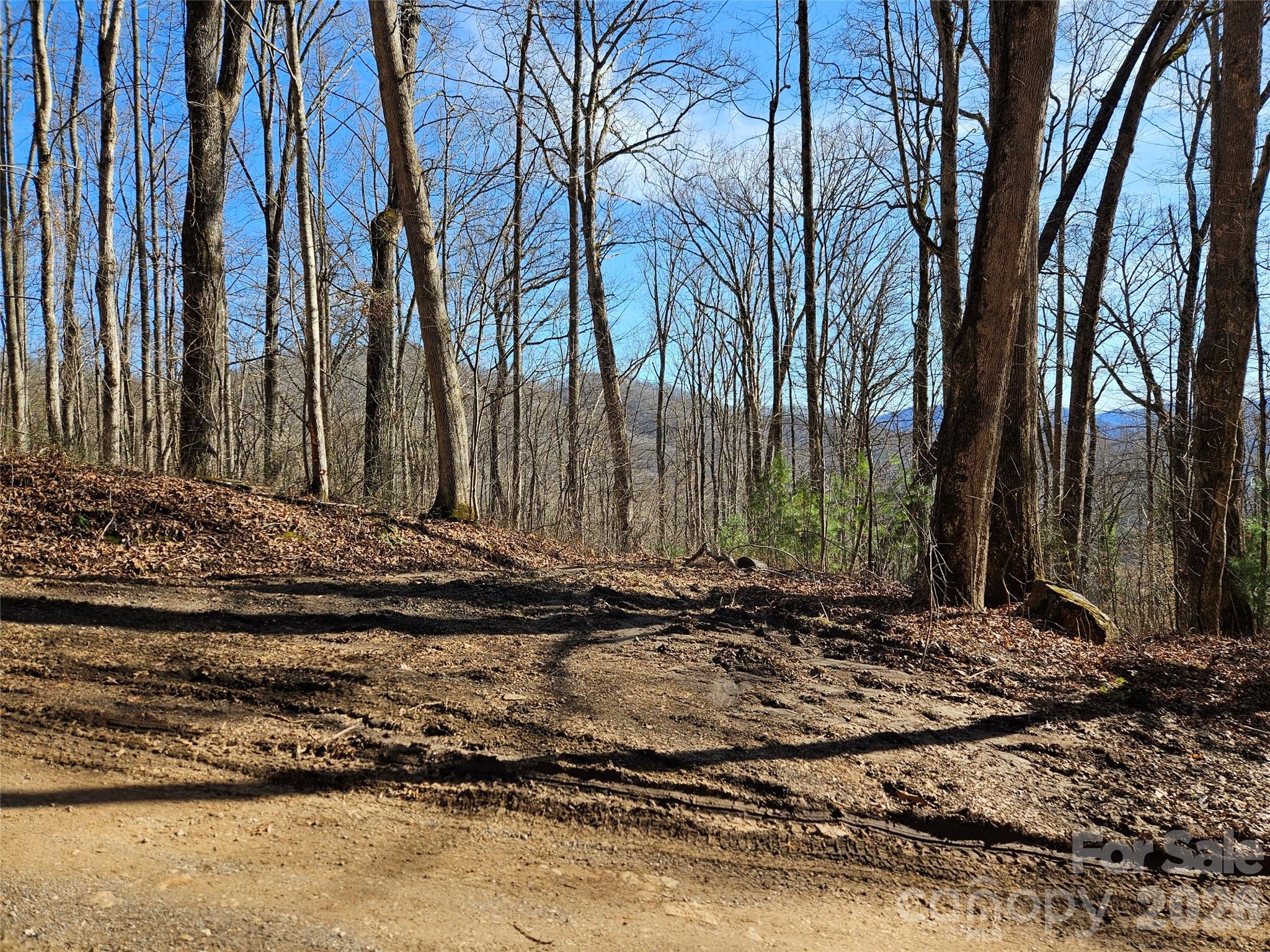Wooded property clearing with a dirt track, leafless trees, and distant mountain views.