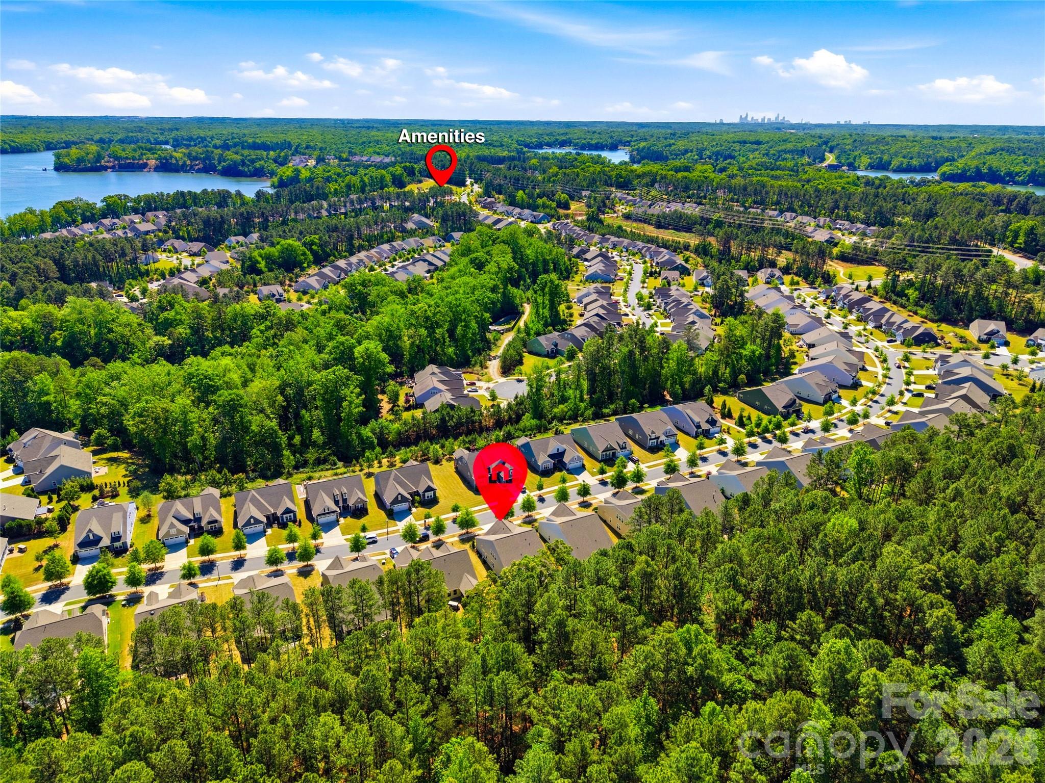 124 Van Gogh Trail