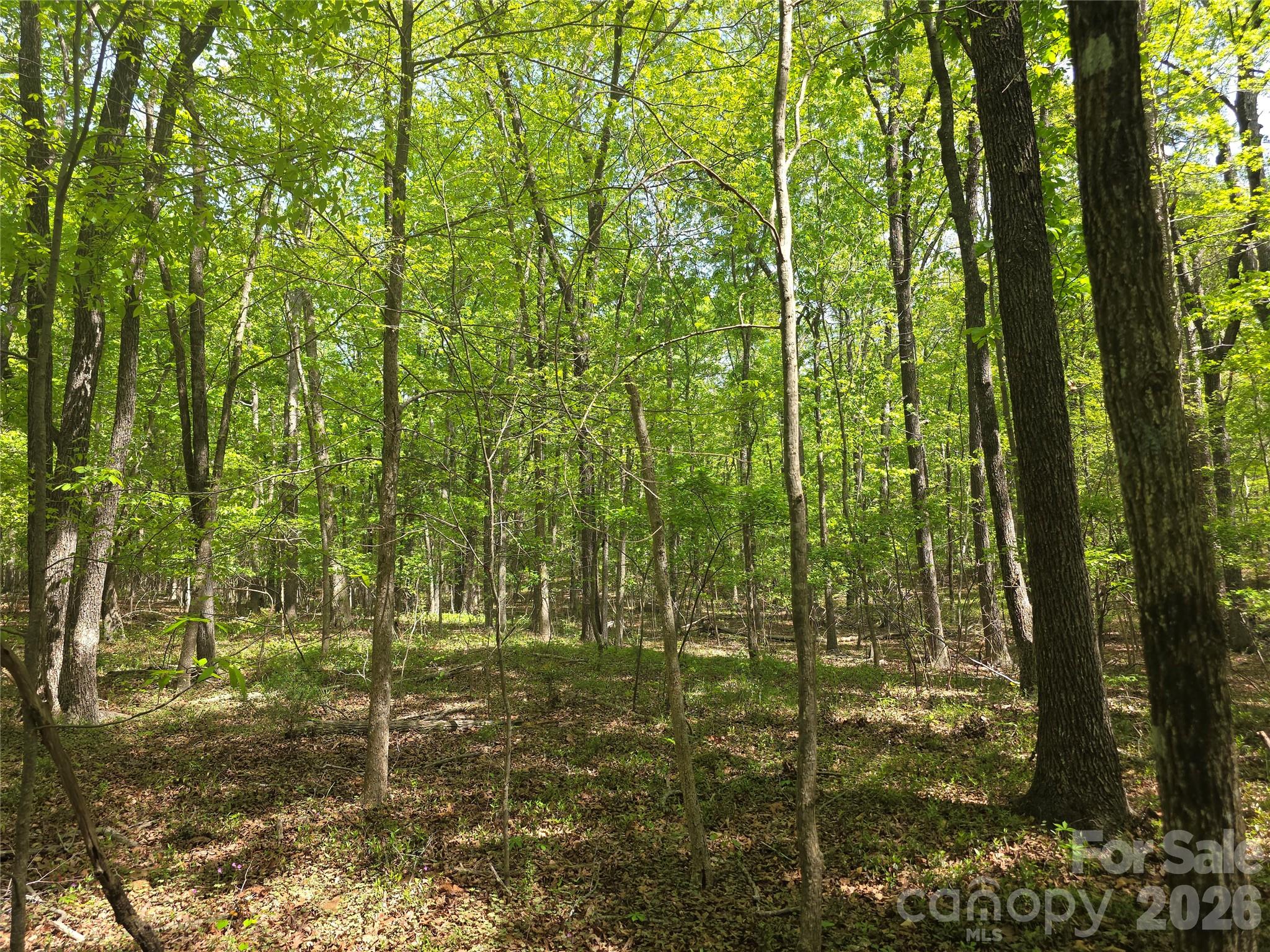 Lot 5 Wolf Pond Road