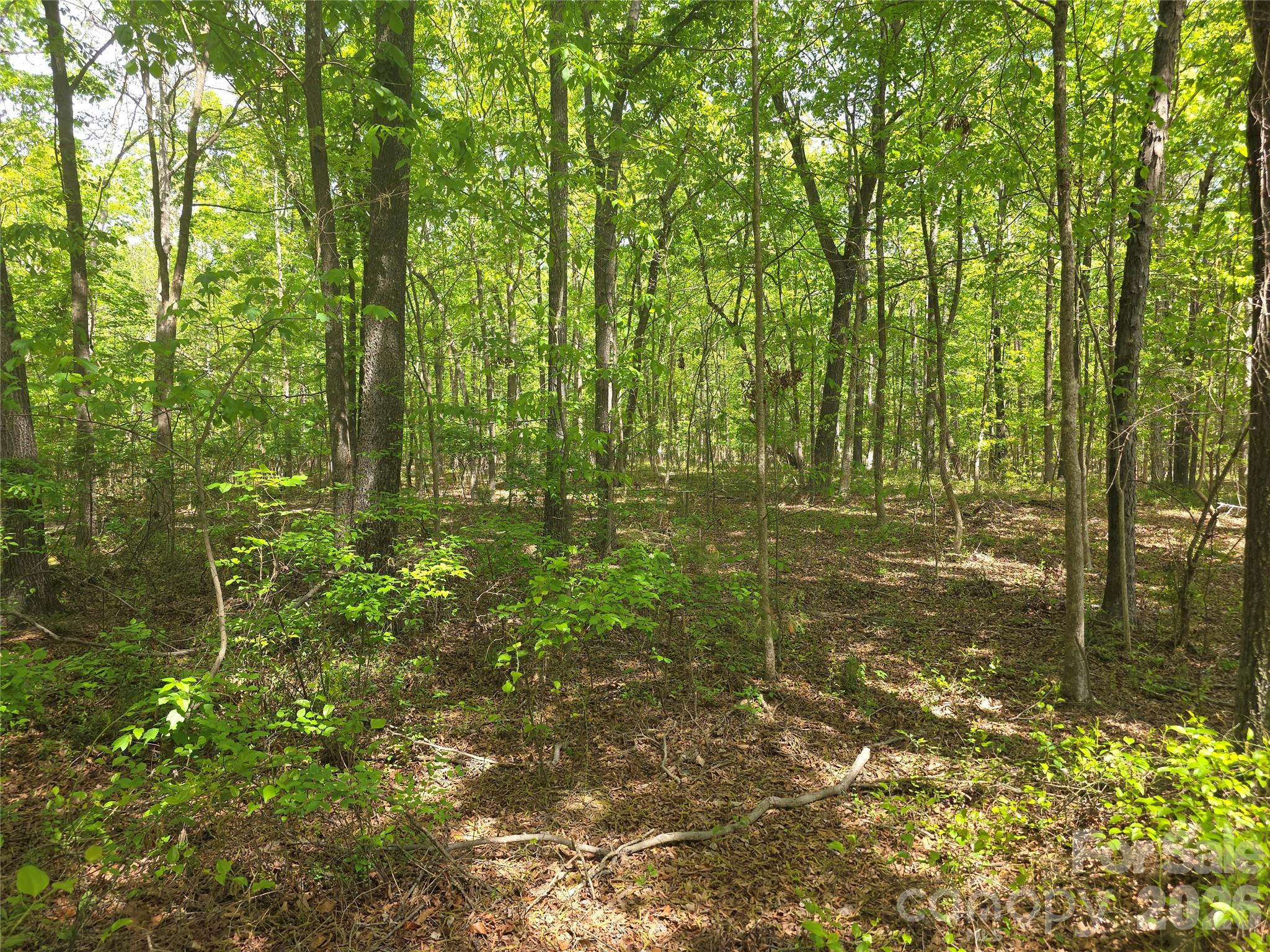 Lot 5 Wolf Pond Road
