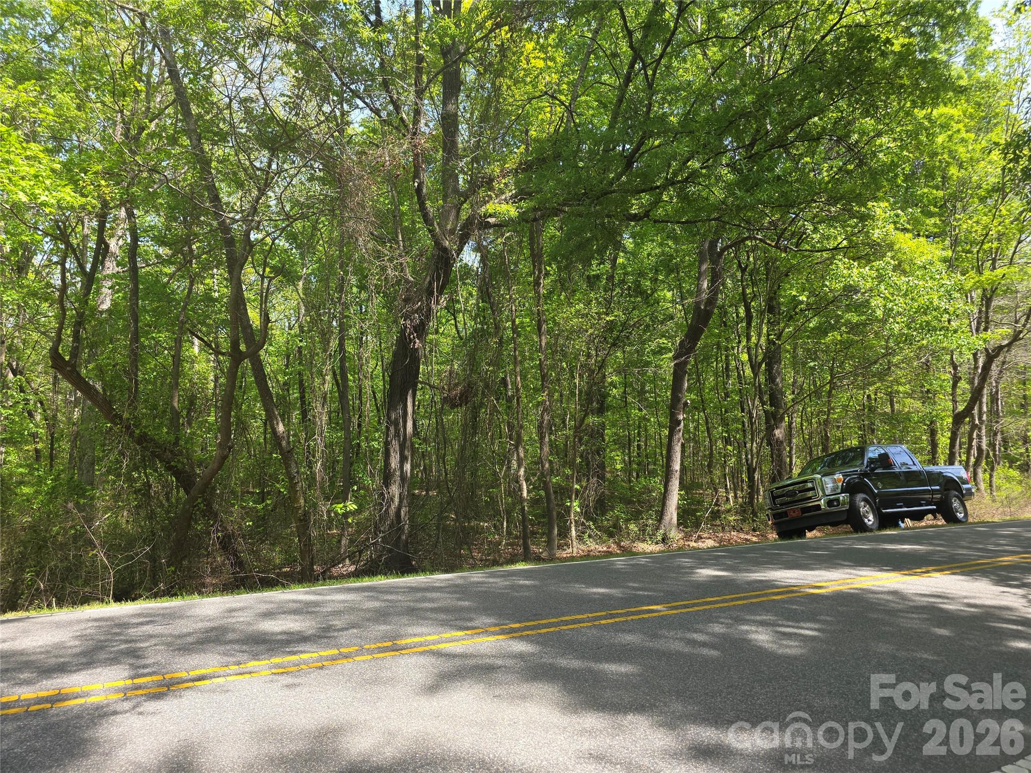 Wooded vacant lot beside a paved road, with a black pickup parked at the tree line.