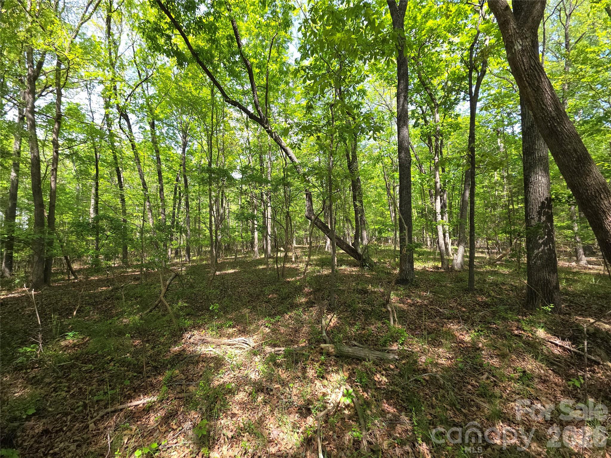 Lot 5 Wolf Pond Road